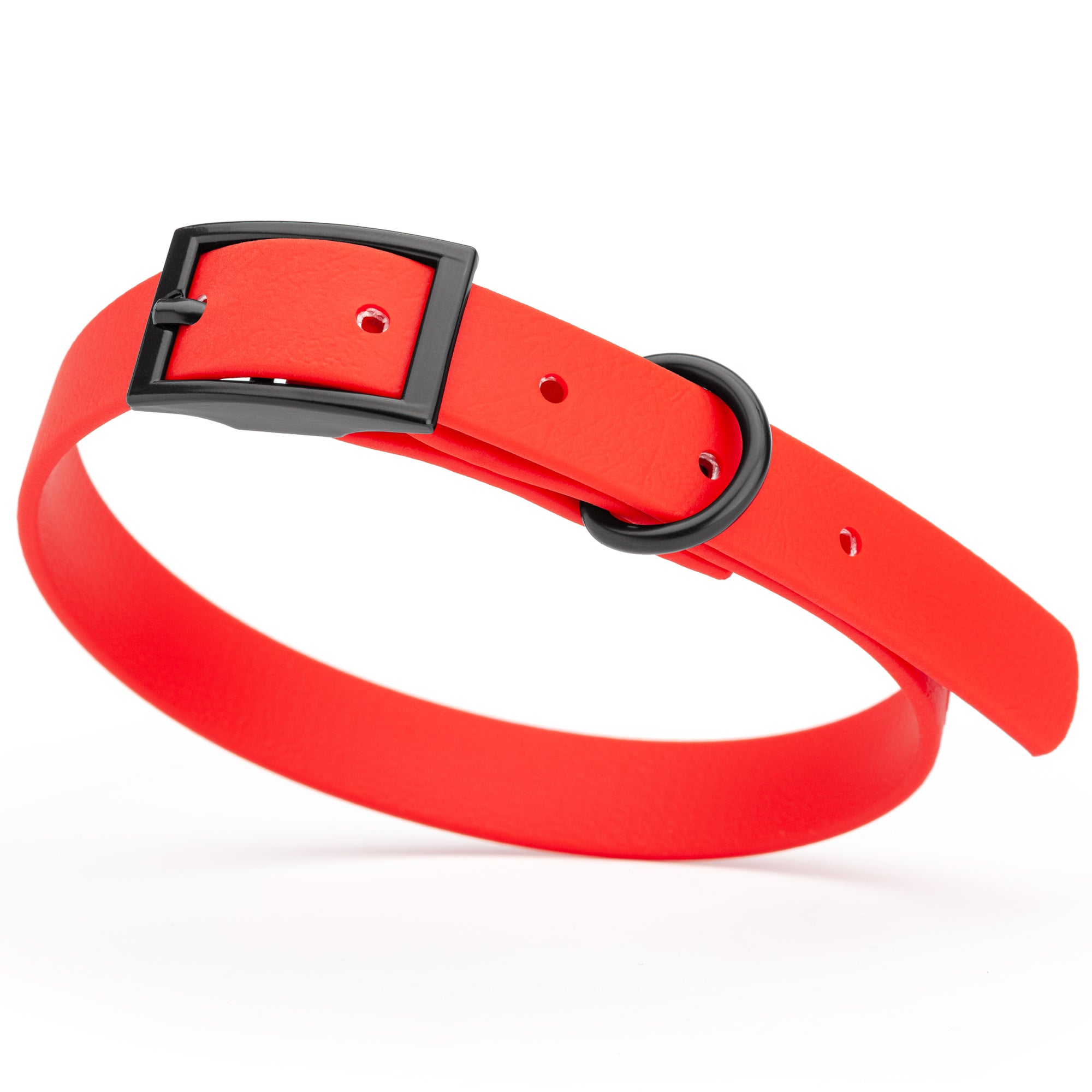 Cherry Red Biothane dog collar with black metal buckle and D-ring, width 5/8 inches, fits small dogs