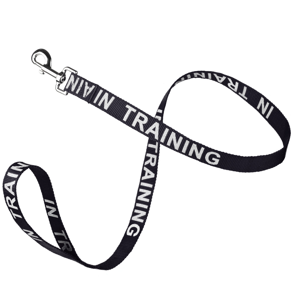 Black nylon dog leash with In Training lettering reflective text