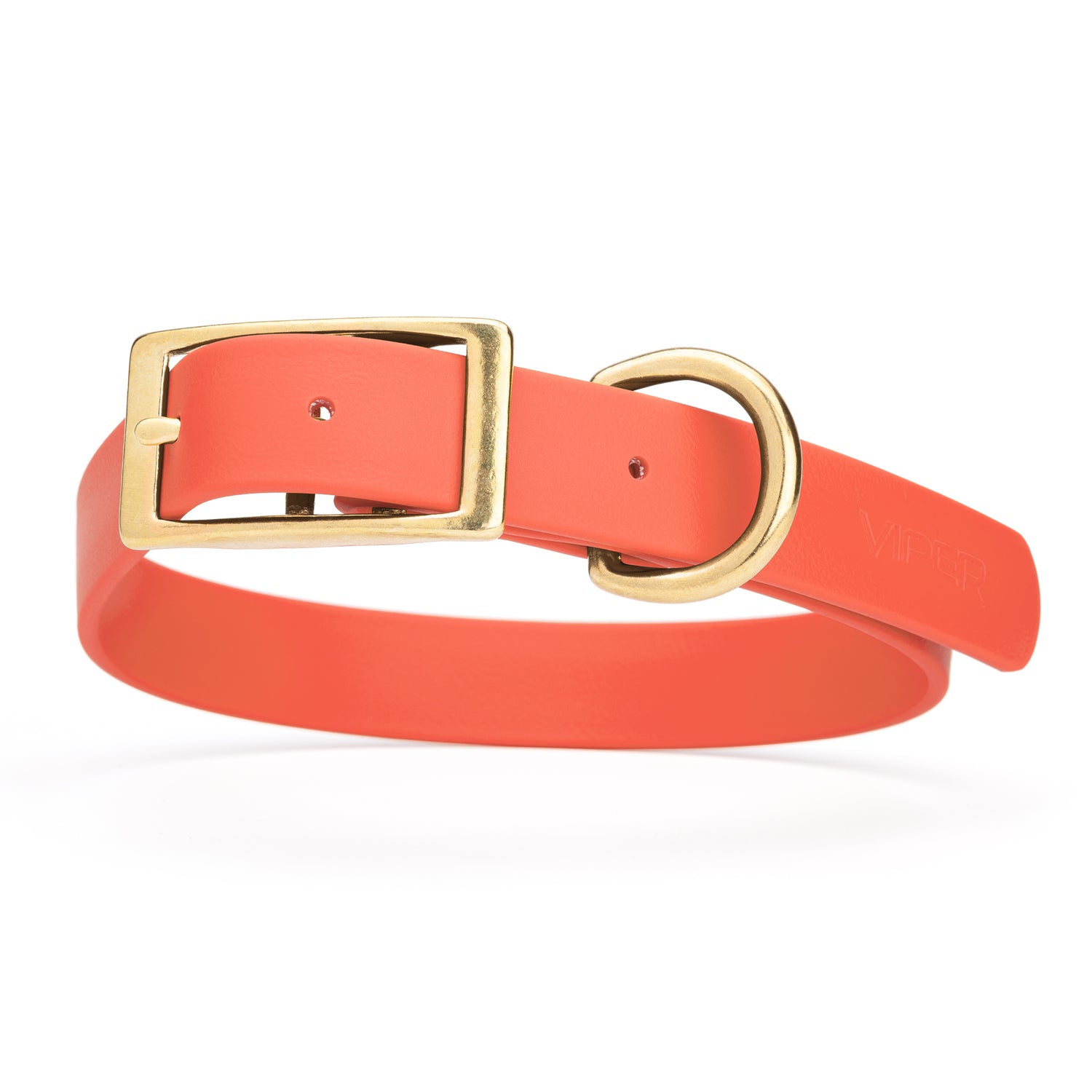 Coral dog collar with brass buckle and D-ring, made from waterproof Biothane, 1-inch wide, fits medium and large dogs