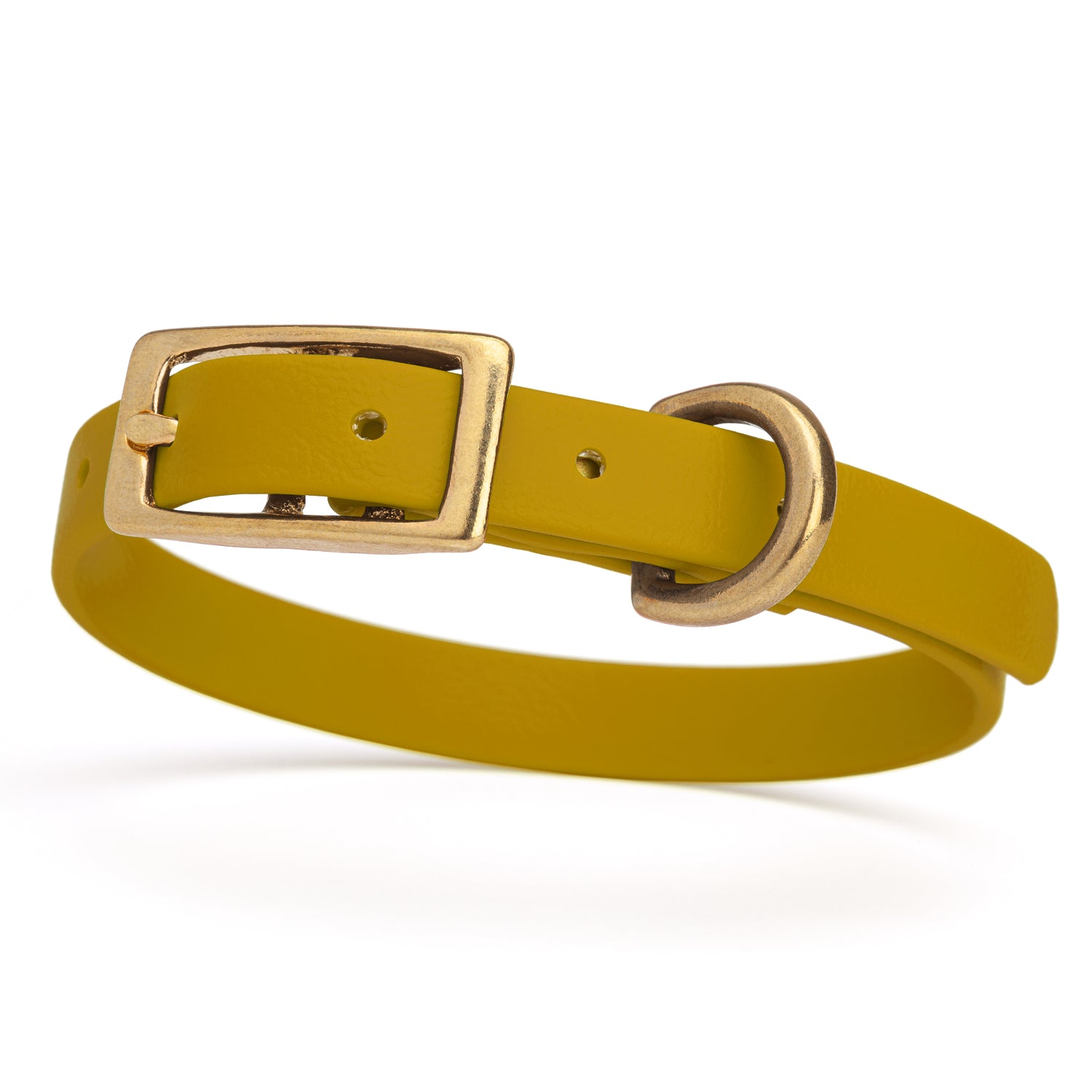 Waterproof collar for small dogs, made from Biothane with brass hardware, width 1/2 inch, Treasure Gold