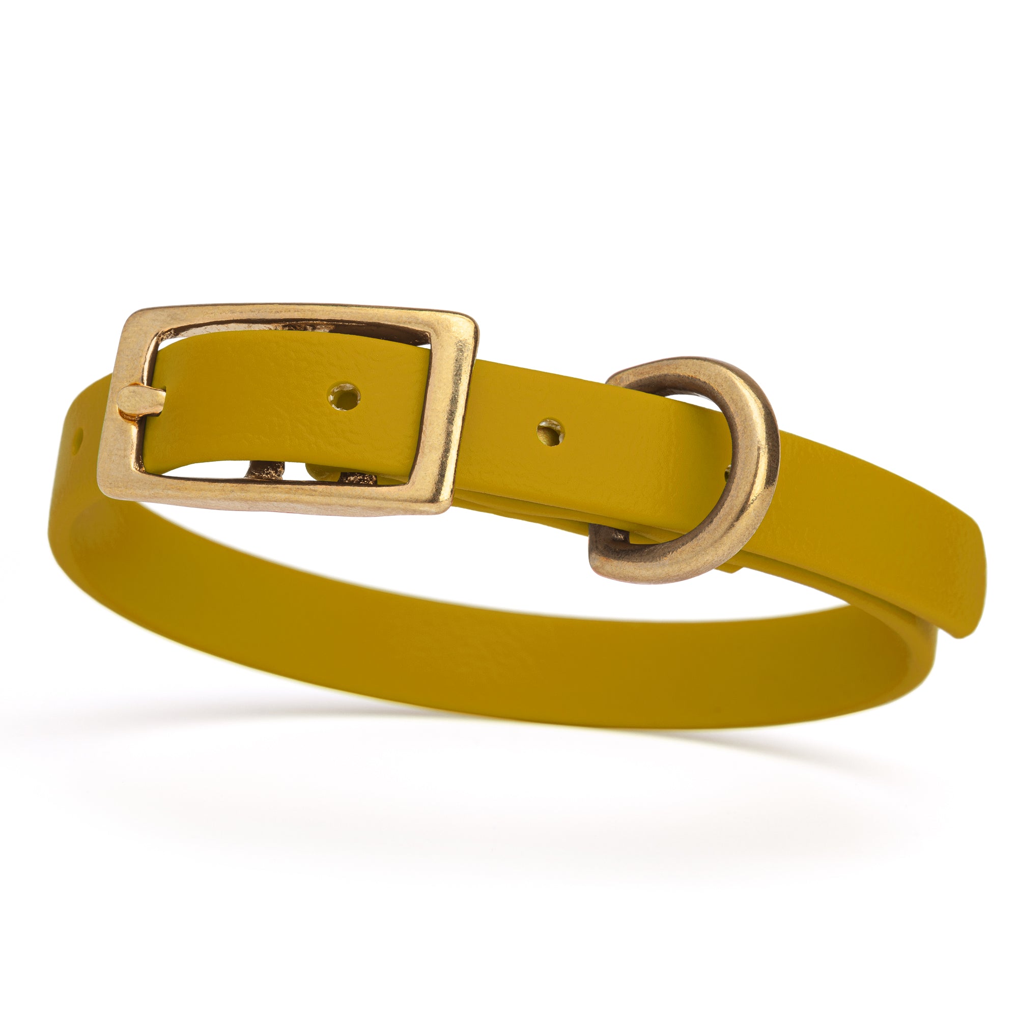 Waterproof collar for small dogs, made from Biothane with brass hardware, width 1/2 inch, Treasure Gold