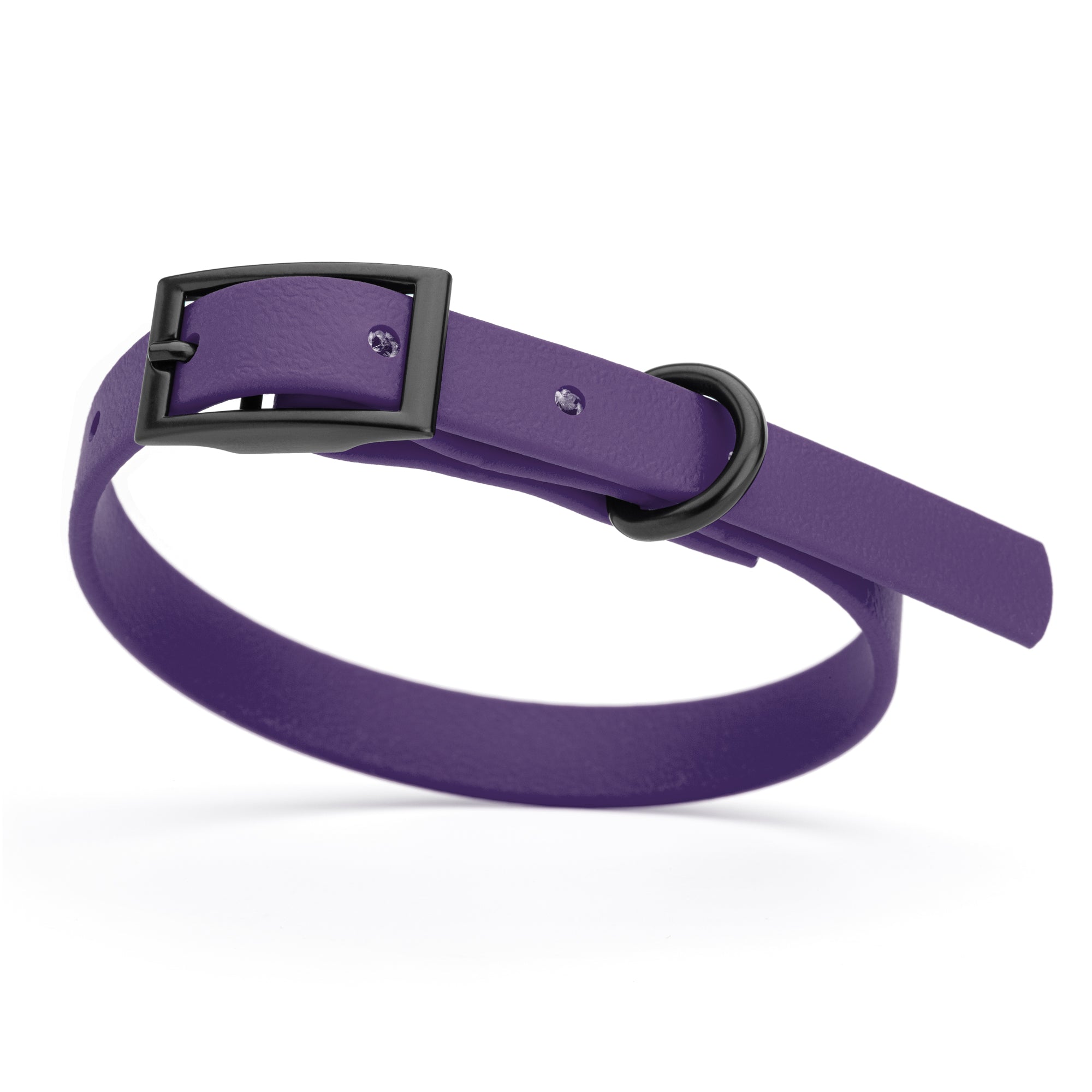 Violet Purple dog collar with black buckle and D-ring, made from waterproof Biothane, x-small