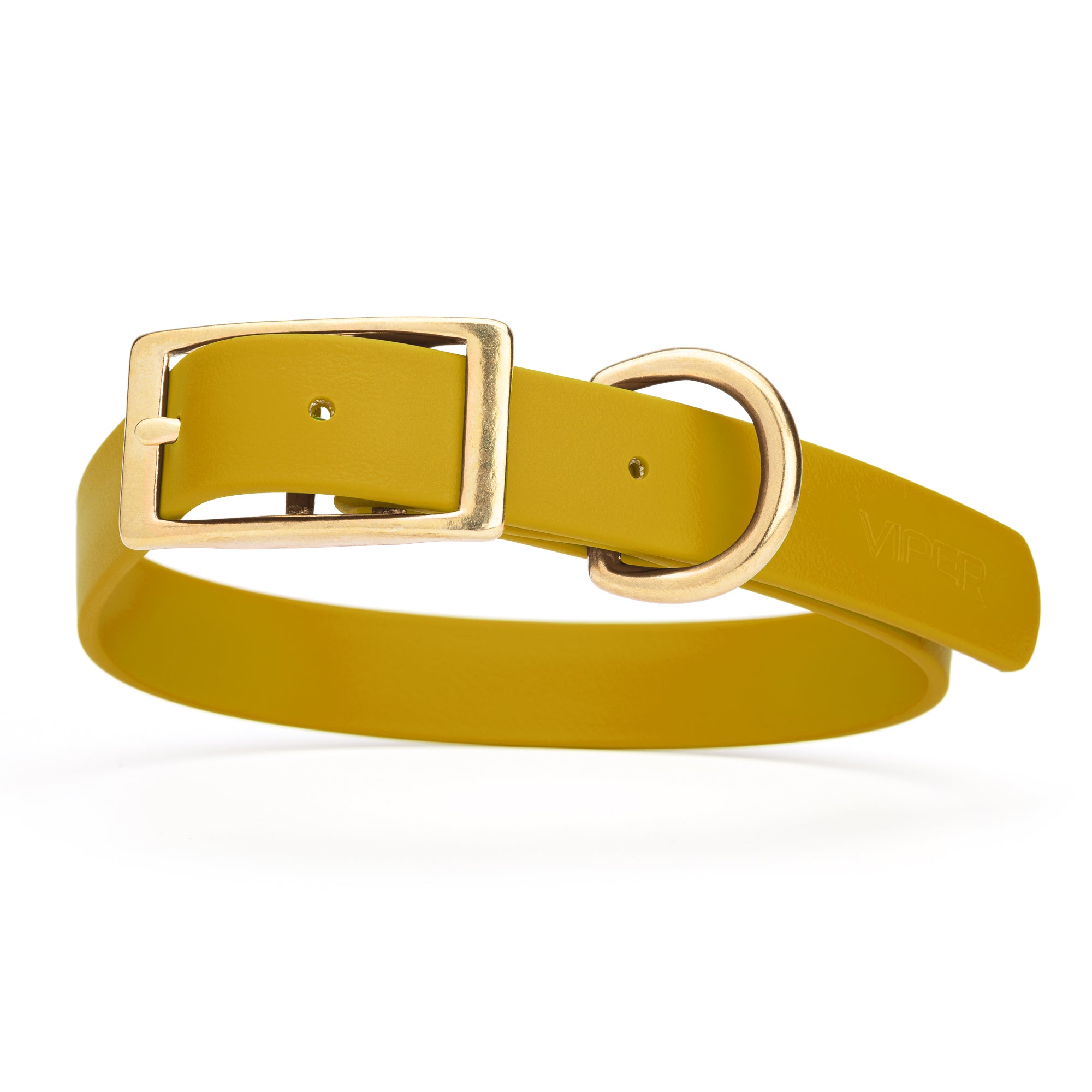 Treasure Gold dog collar with brass hardware, made from waterproof Biothane, 1-inch wide, fits large dogs