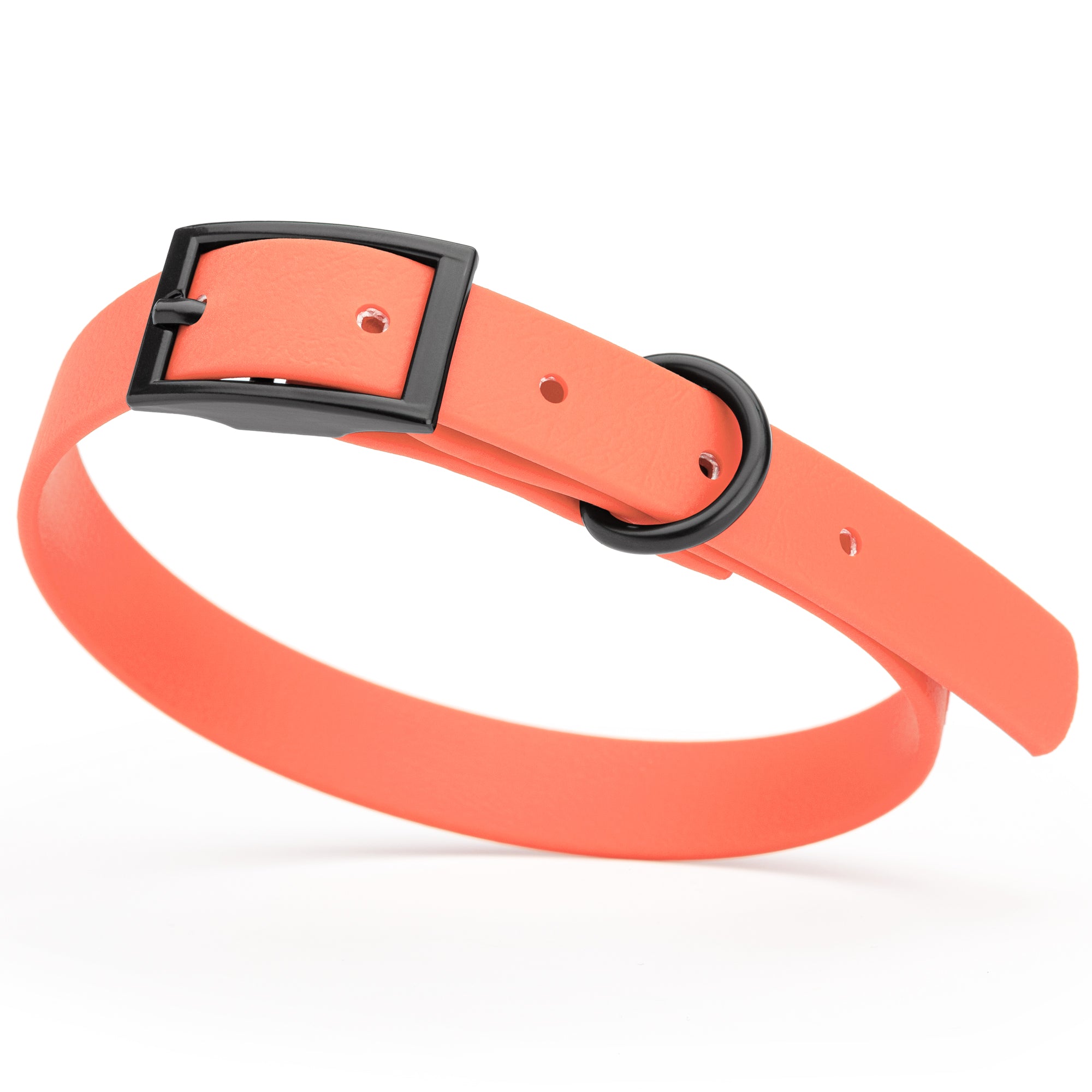 Coral Biothane dog collar with black metal buckle and D-ring, width 5/8 inches, fits small dogs