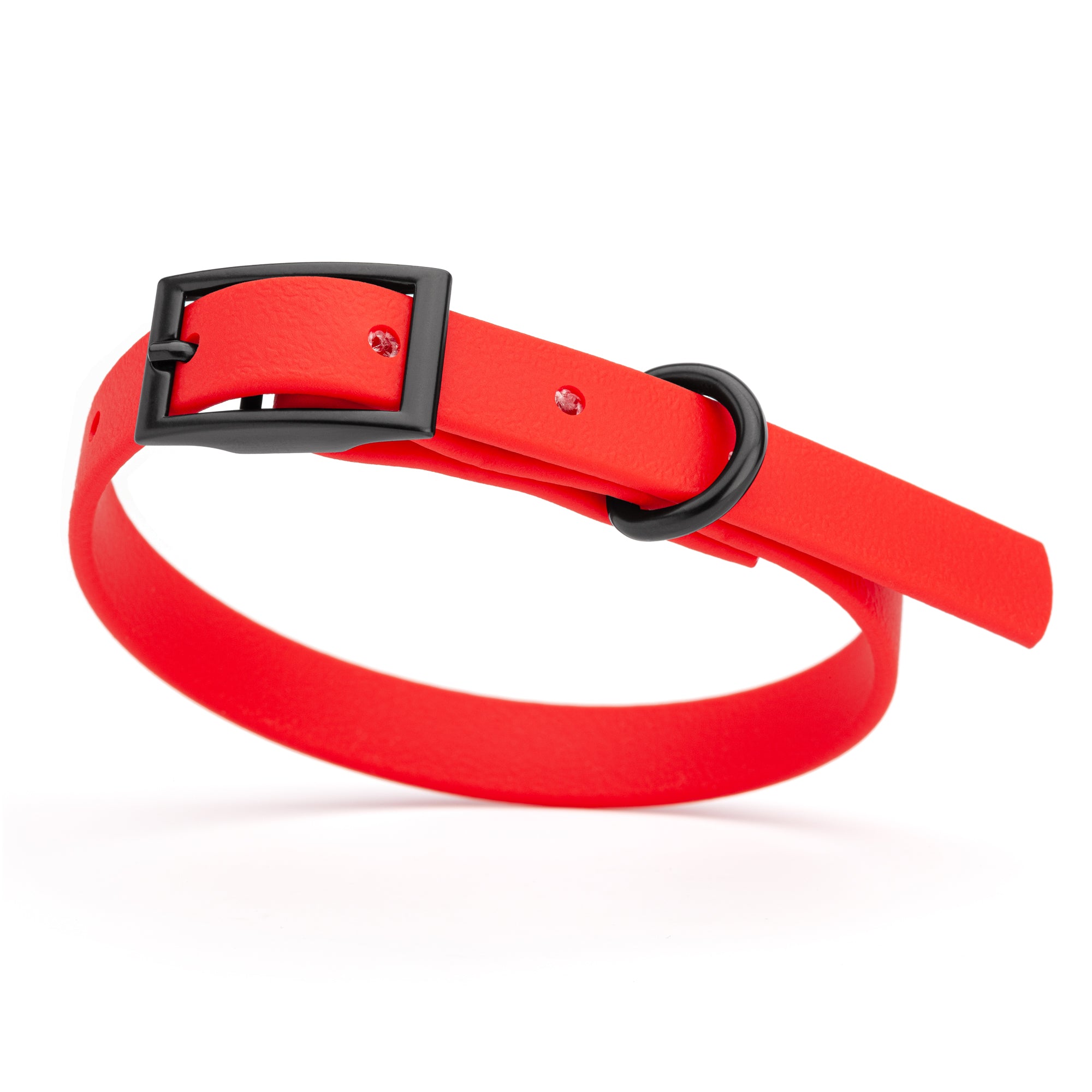 Cherry Red dog collar with black buckle and D-ring, made from waterproof Biothane, x-small