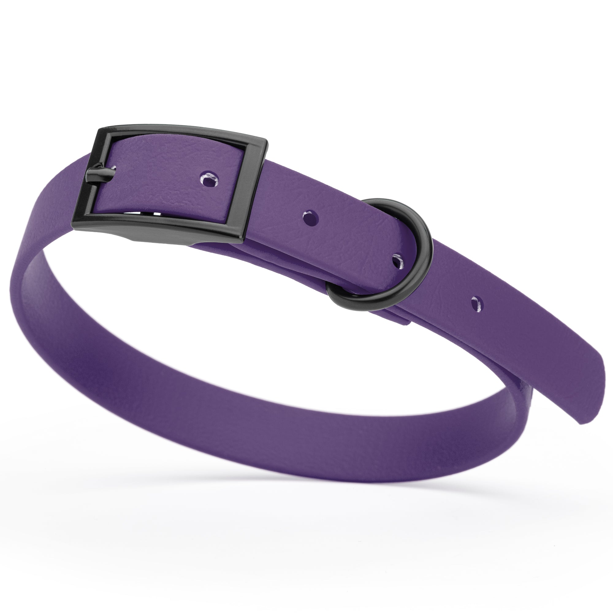 Violet Purple Biothane dog collar with black metal buckle and D-ring, width 5/8 inches, fits small dogs