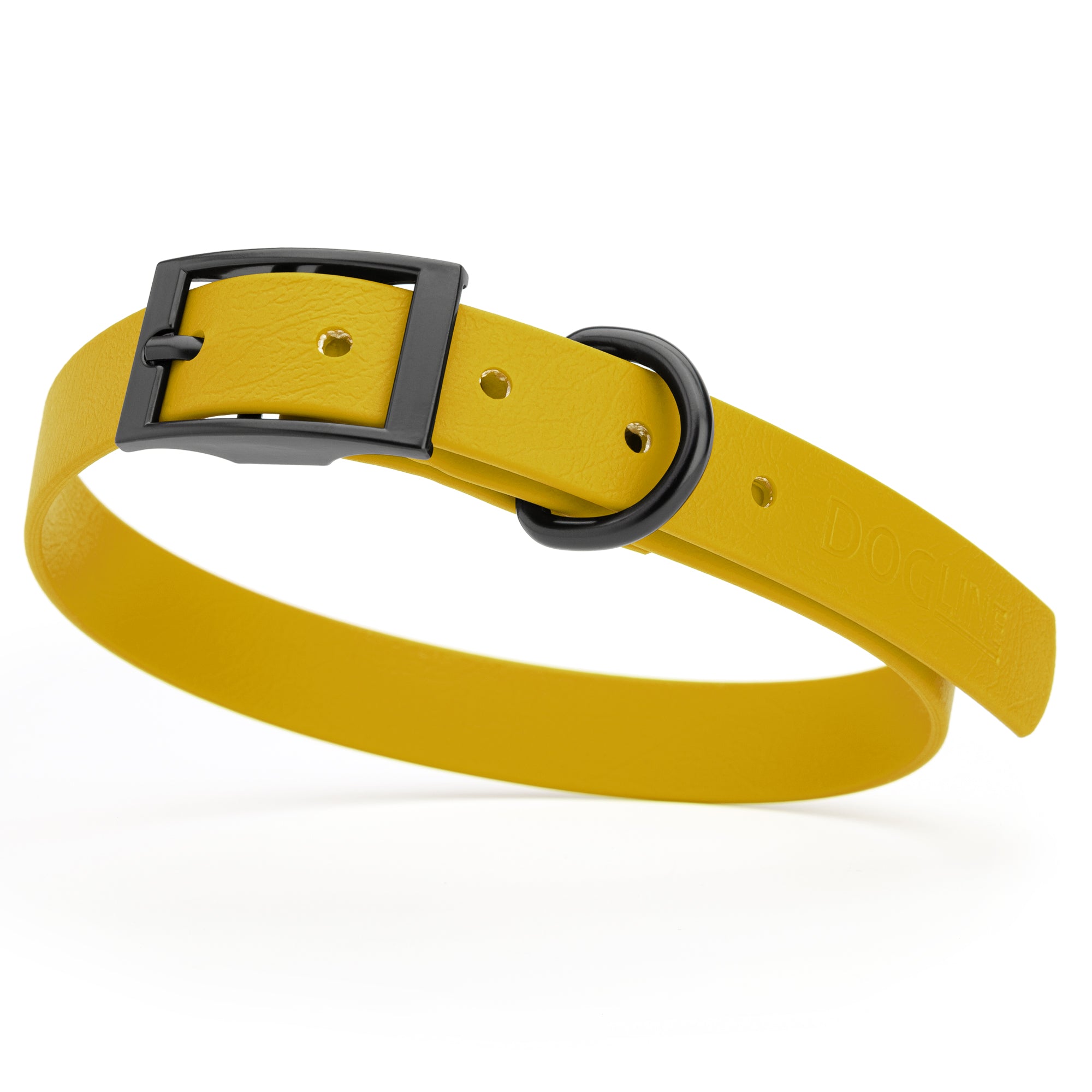 Treasure Gold waterproof dog collar with black metal buckle and D-ring, made from BioThane, fits medium dogs