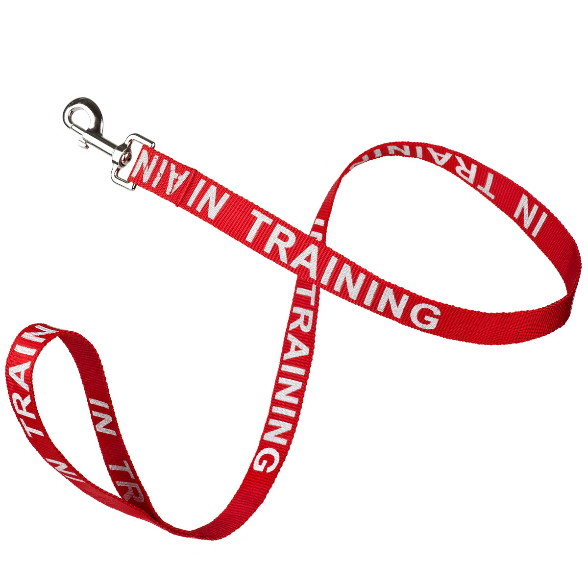 Red nylon dog leash with In Training lettering reflective text