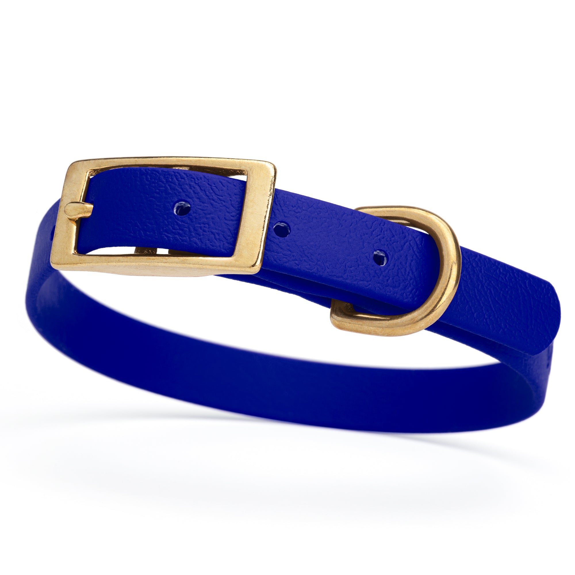 Blueberry collar for small dogs with brass buckle and D-ring, made from waterproof and smell proof Biothane, width 3/4 inch