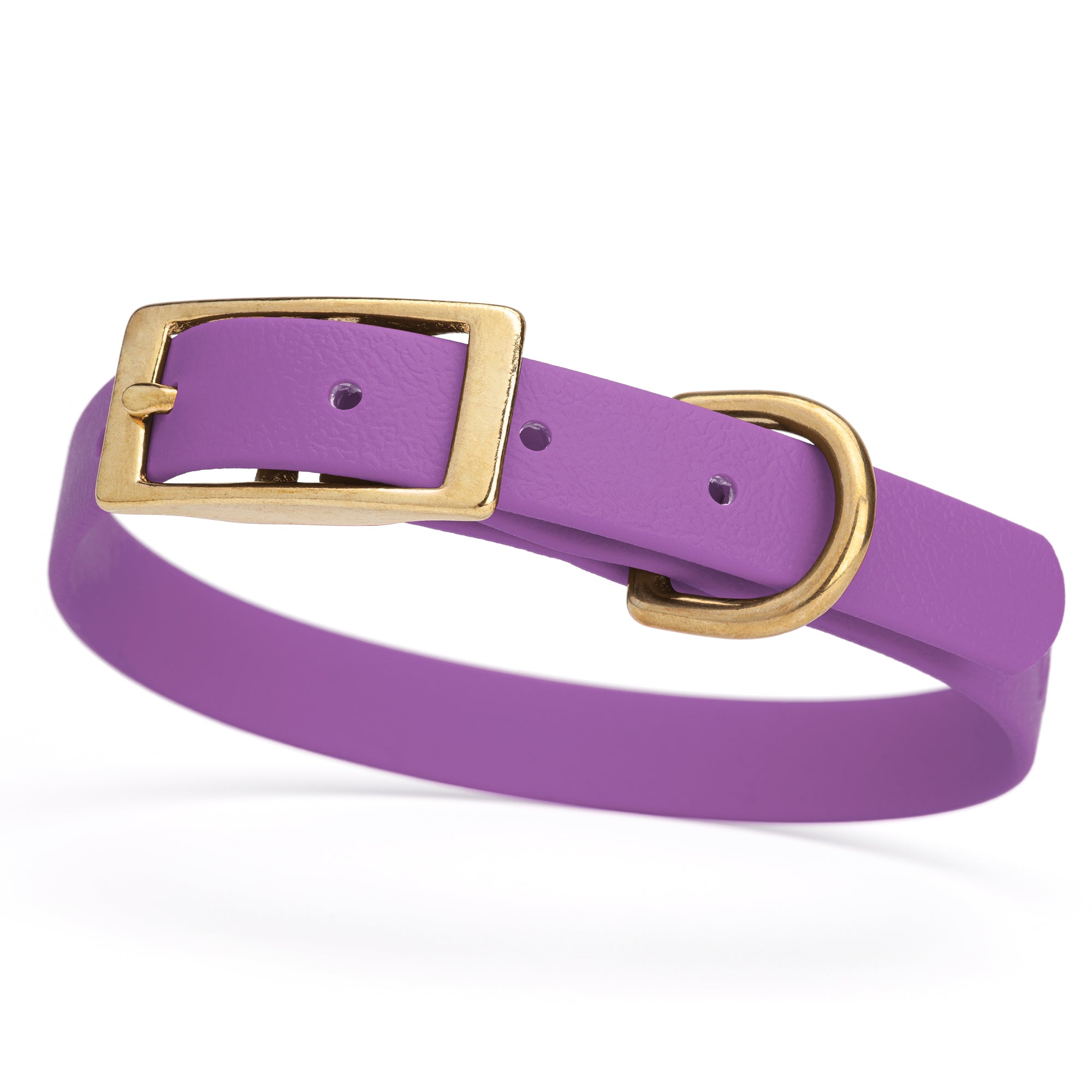 Amethyst Purple collar for small dogs with brass buckle and D-ring, made from waterproof and smell proof Biothane, width 3/4 inch