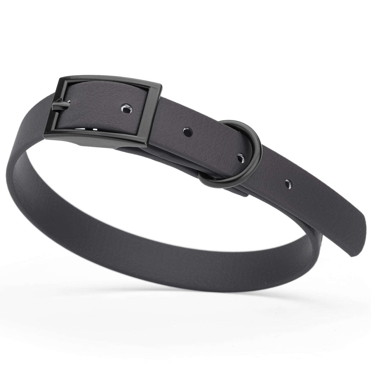 Black Biothane dog collar with black metal buckle and D-ring, width 5/8 inches, fits small dogs