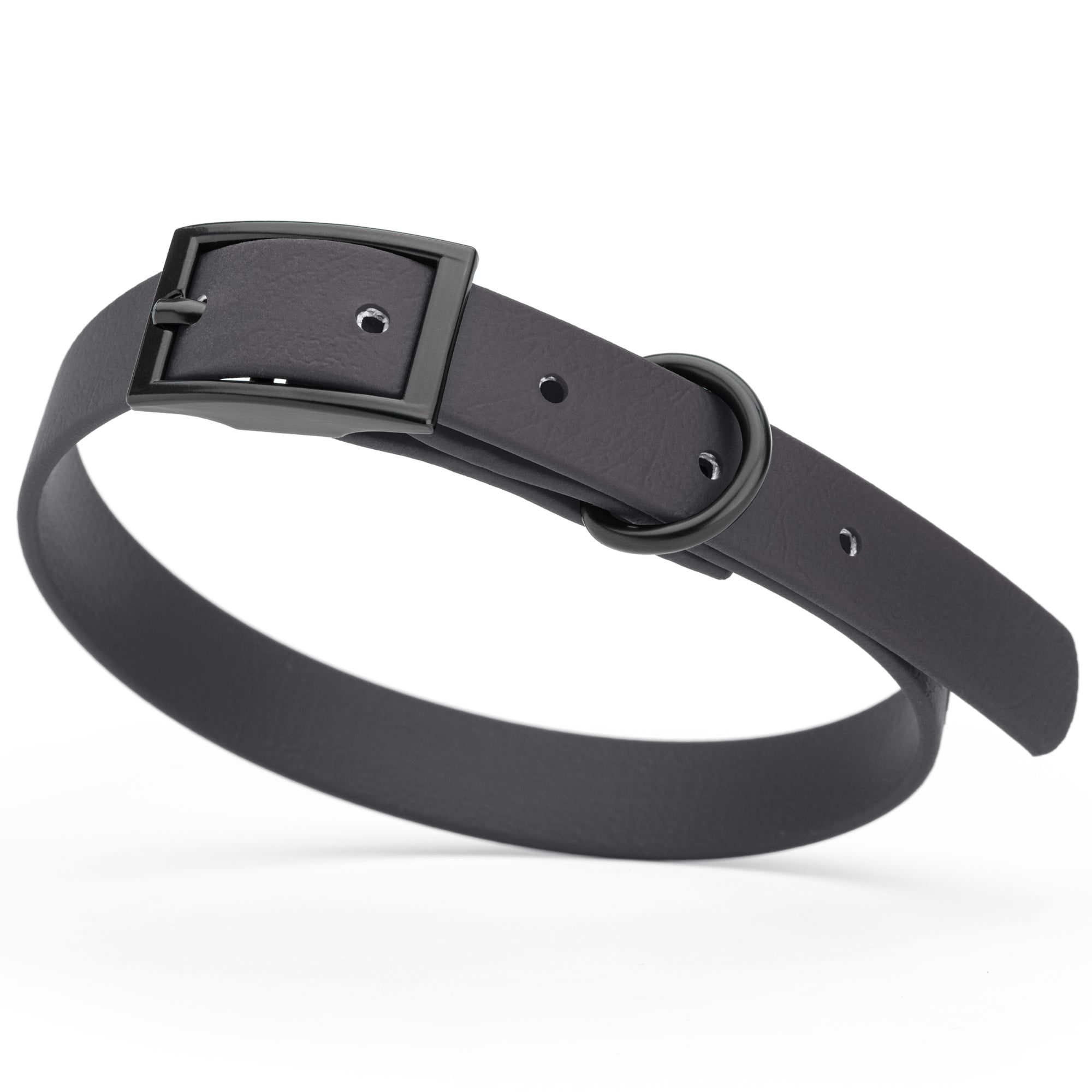 Black Biothane dog collar with black metal buckle and D-ring, width 5/8 inches, fits small dogs