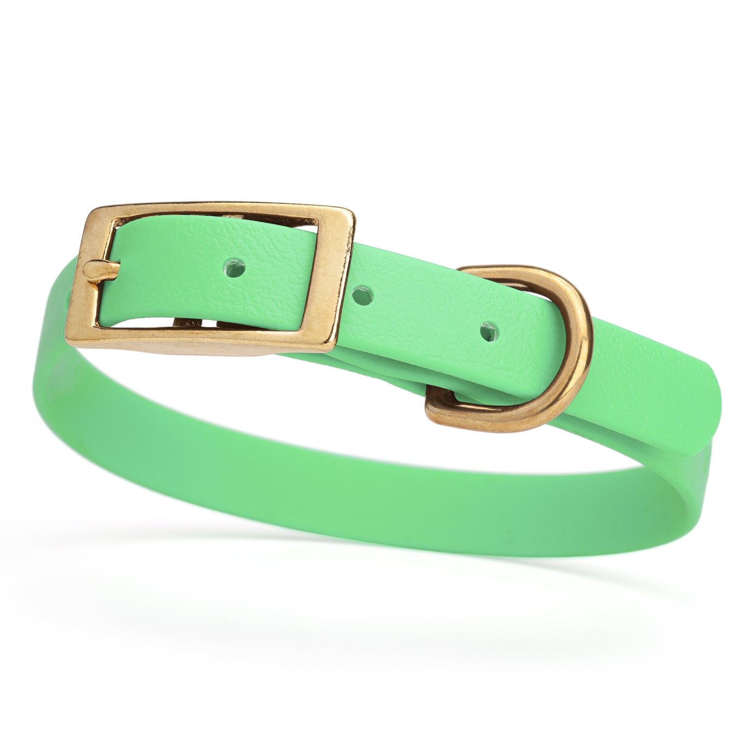 Seafoam Green collar for small dogs with brass buckle and D-ring, made from waterproof and smell proof Biothane, width 3/4 inch