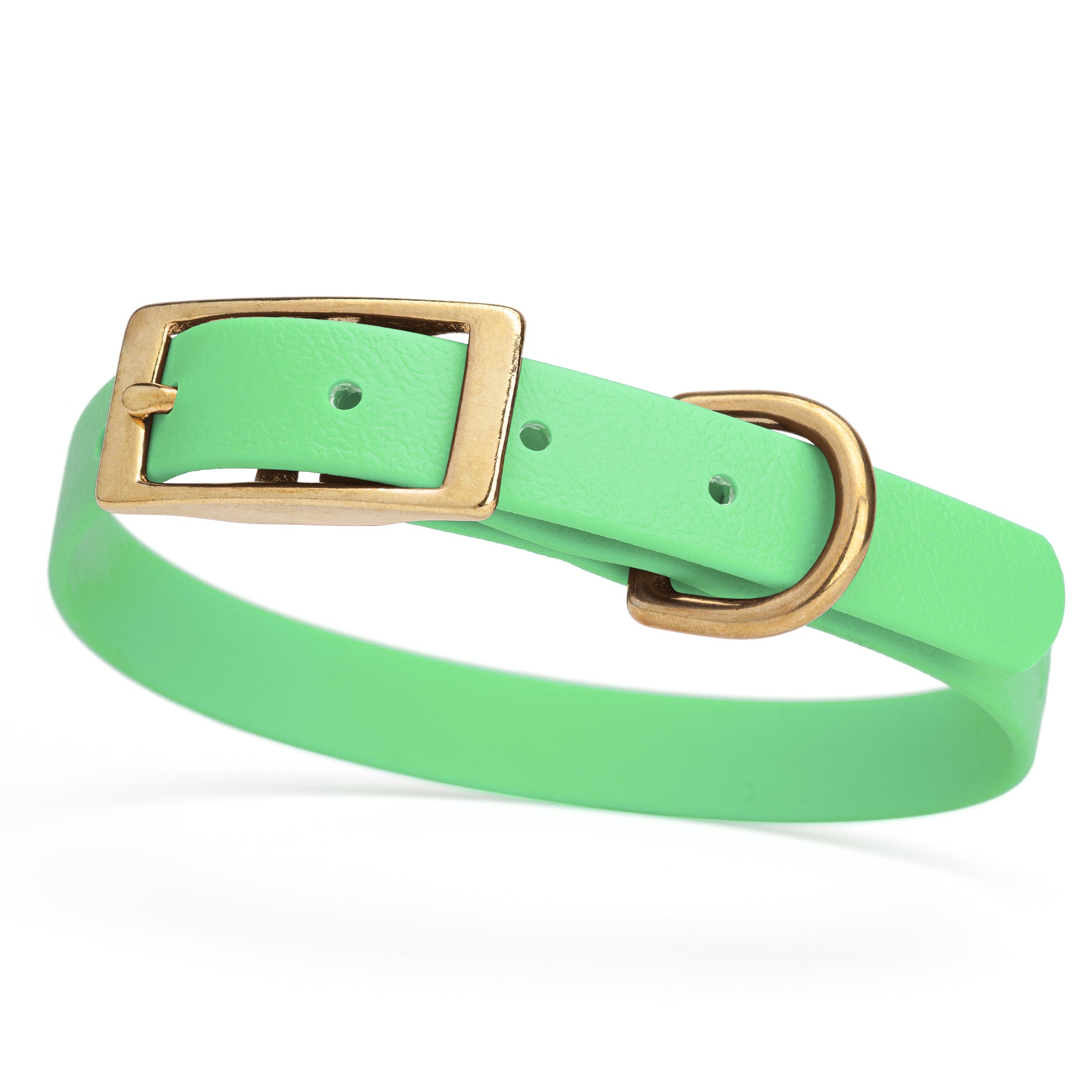 Seafoam Green collar for small dogs with brass buckle and D-ring, made from waterproof and smell proof Biothane, width 3/4 inch