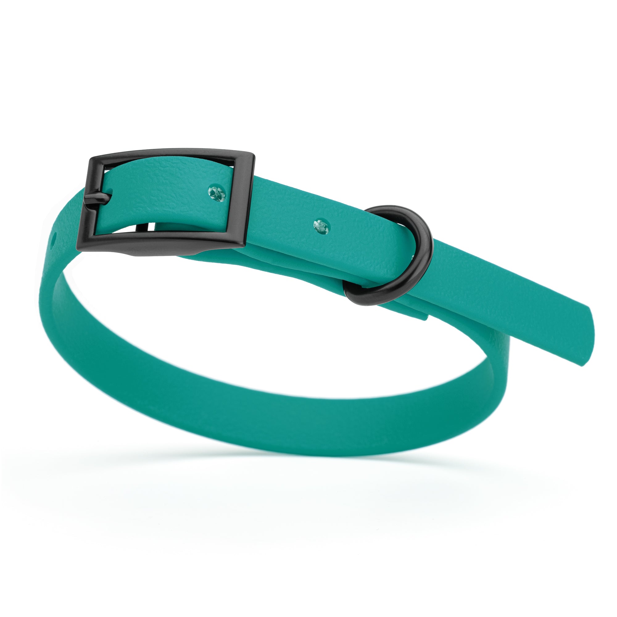 Aqua Blue dog collar with black buckle and D-ring, made from waterproof Biothane, x-small
