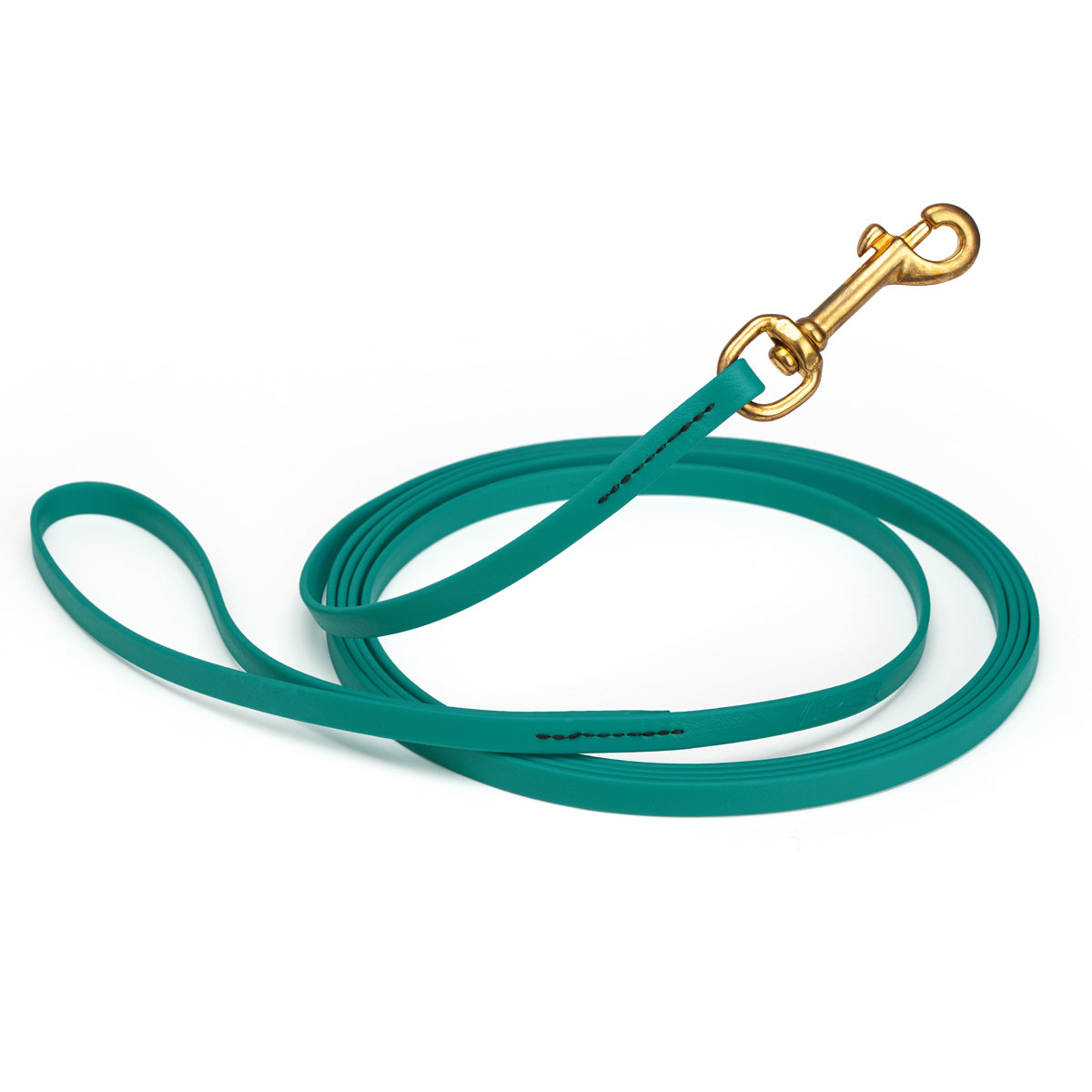 Waterproof Aqua Blue dog leash, 20 ft long, 3/8 in wide, made from Biothane with brass hardware