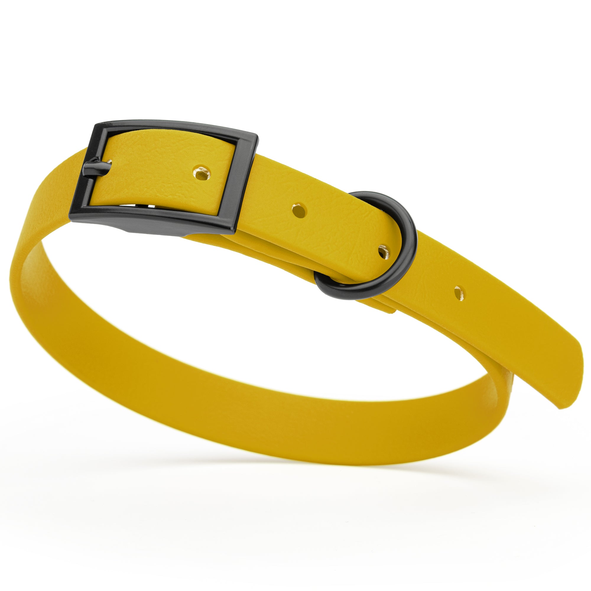 Treasure Gold Biothane dog collar with black metal buckle and D-ring, width 5/8 inches, fits small dogs