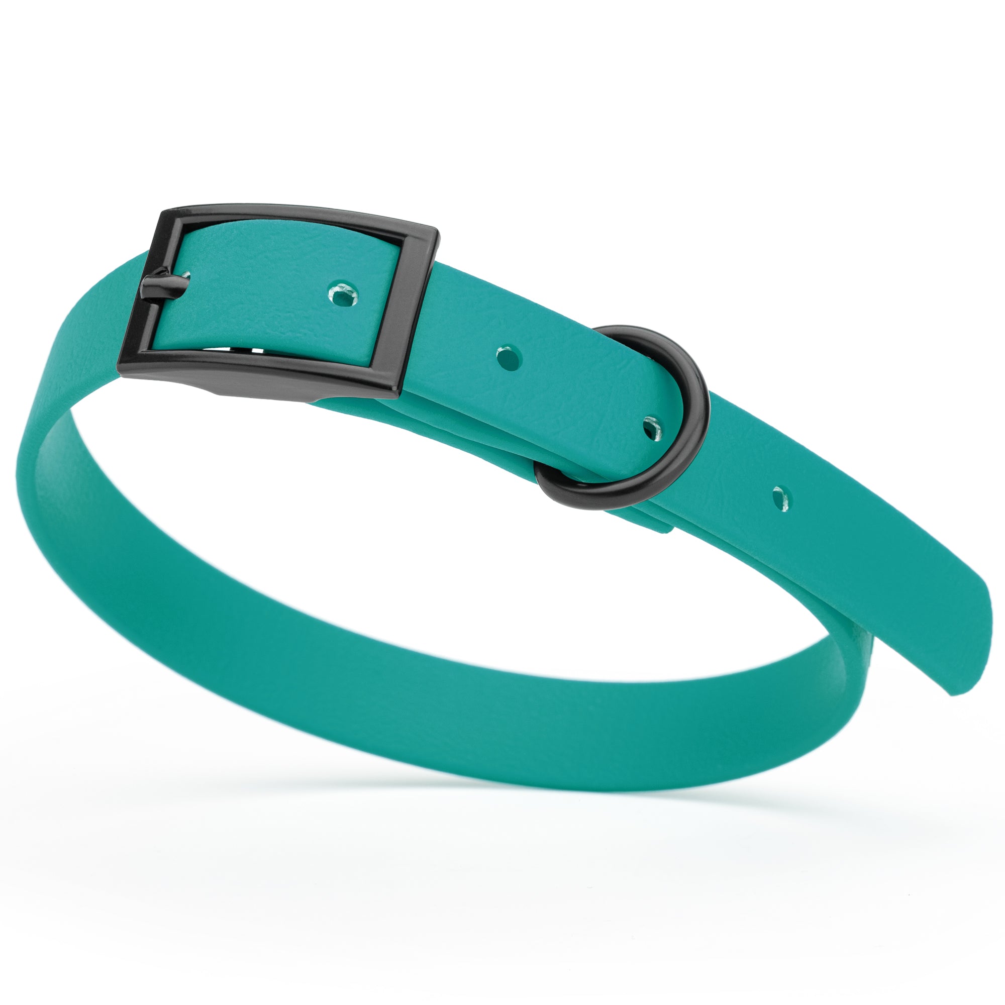 Aqua Blue Biothane dog collar with black metal buckle and D-ring, width 5/8 inches, fits small dogs
