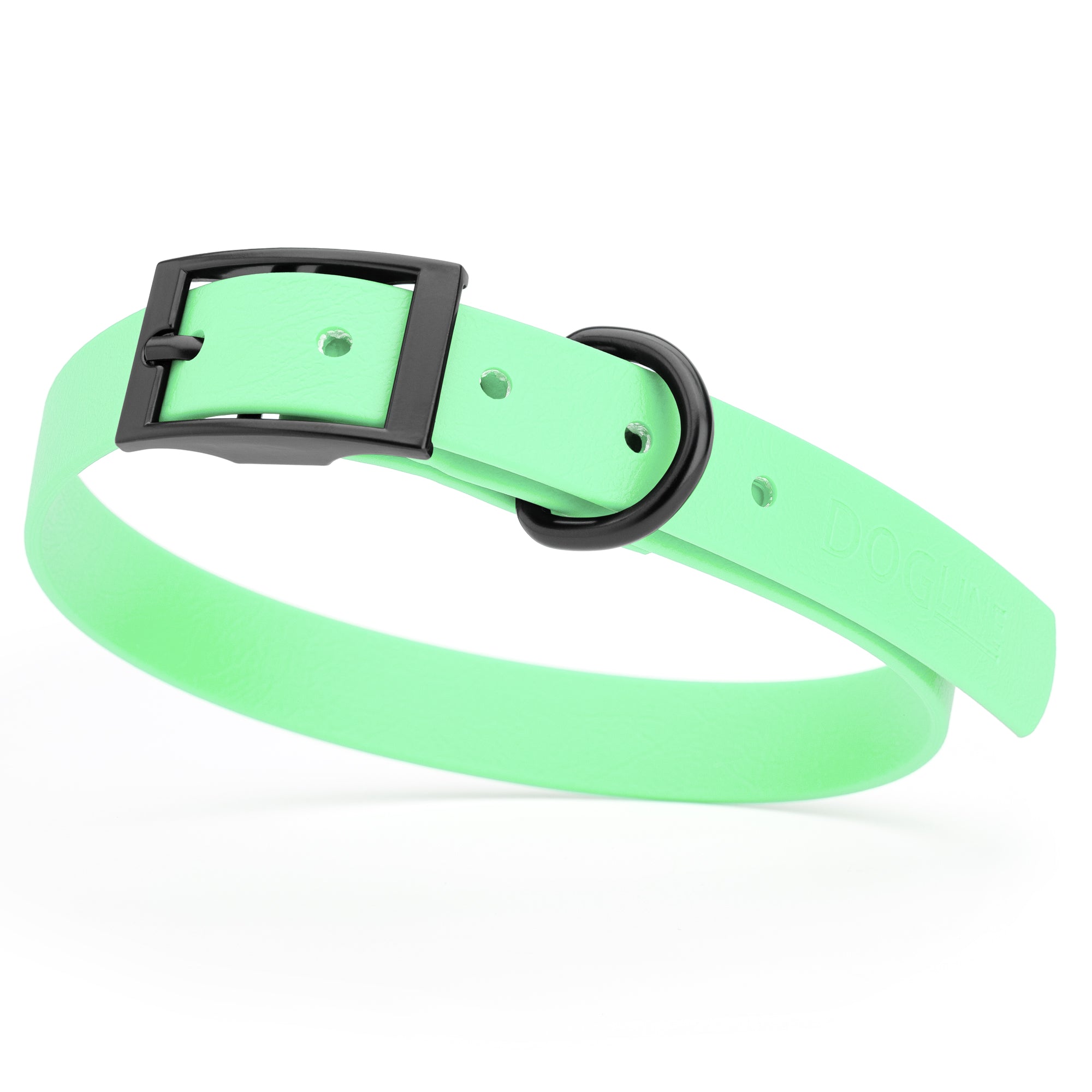 Seafoam Green waterproof dog collar with black metal buckle and D-ring, made from BioThane, fits medium dogs