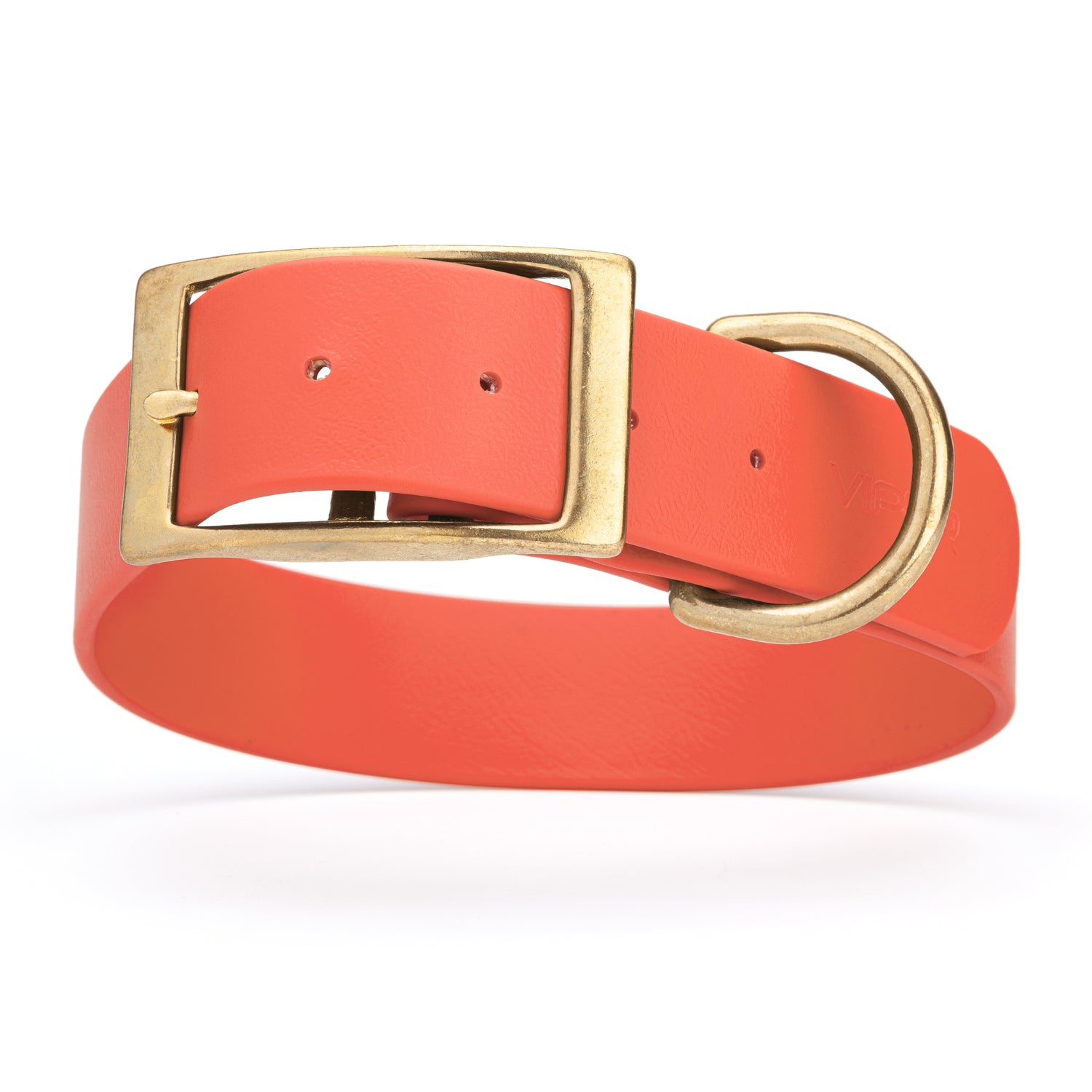 Coral dog collar with brass buckle and D-ring, made from waterproof Biothane, 1.5-inch wide, fits large and giant dogs