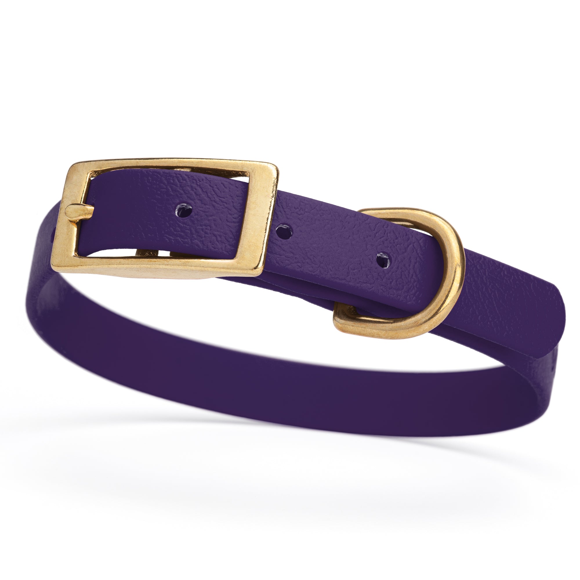 Violet Purple collar for small dogs with brass buckle and D-ring, made from waterproof and smell proof Biothane, width 3/4 inch