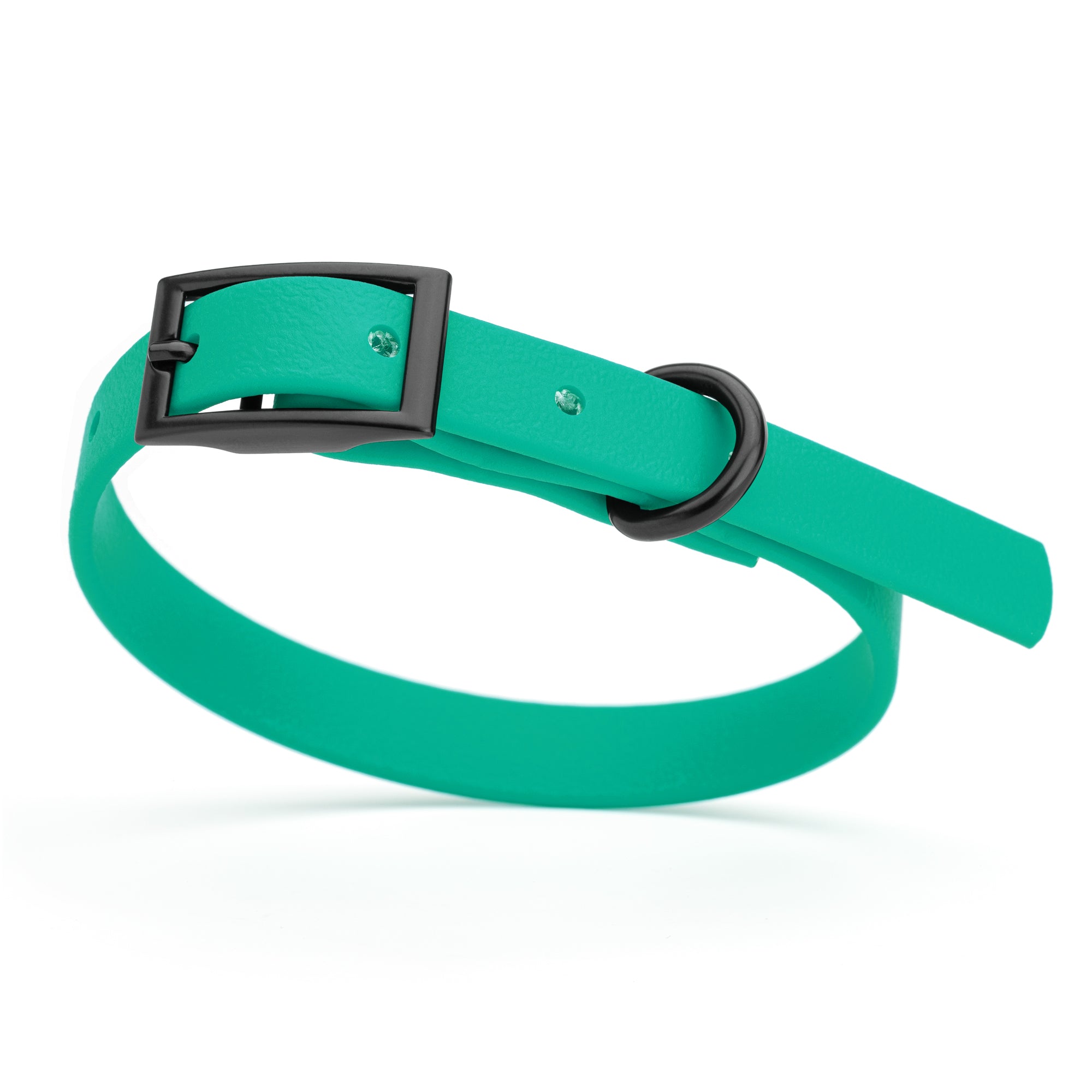 Teal dog collar with black buckle and D-ring, made from waterproof Biothane, x-small