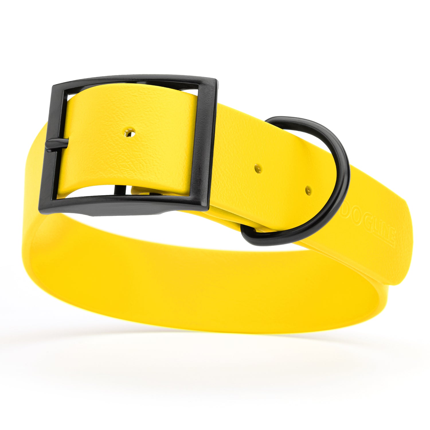 Lemon Yellow waterproof collar for large dogs, 1.5 inches wide, made from Biothane, with black metal hardware