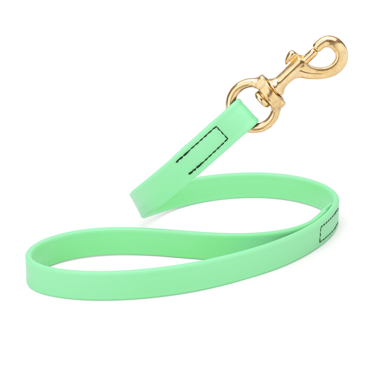 20in traffic lead with brass snap hook, Seafoam Green