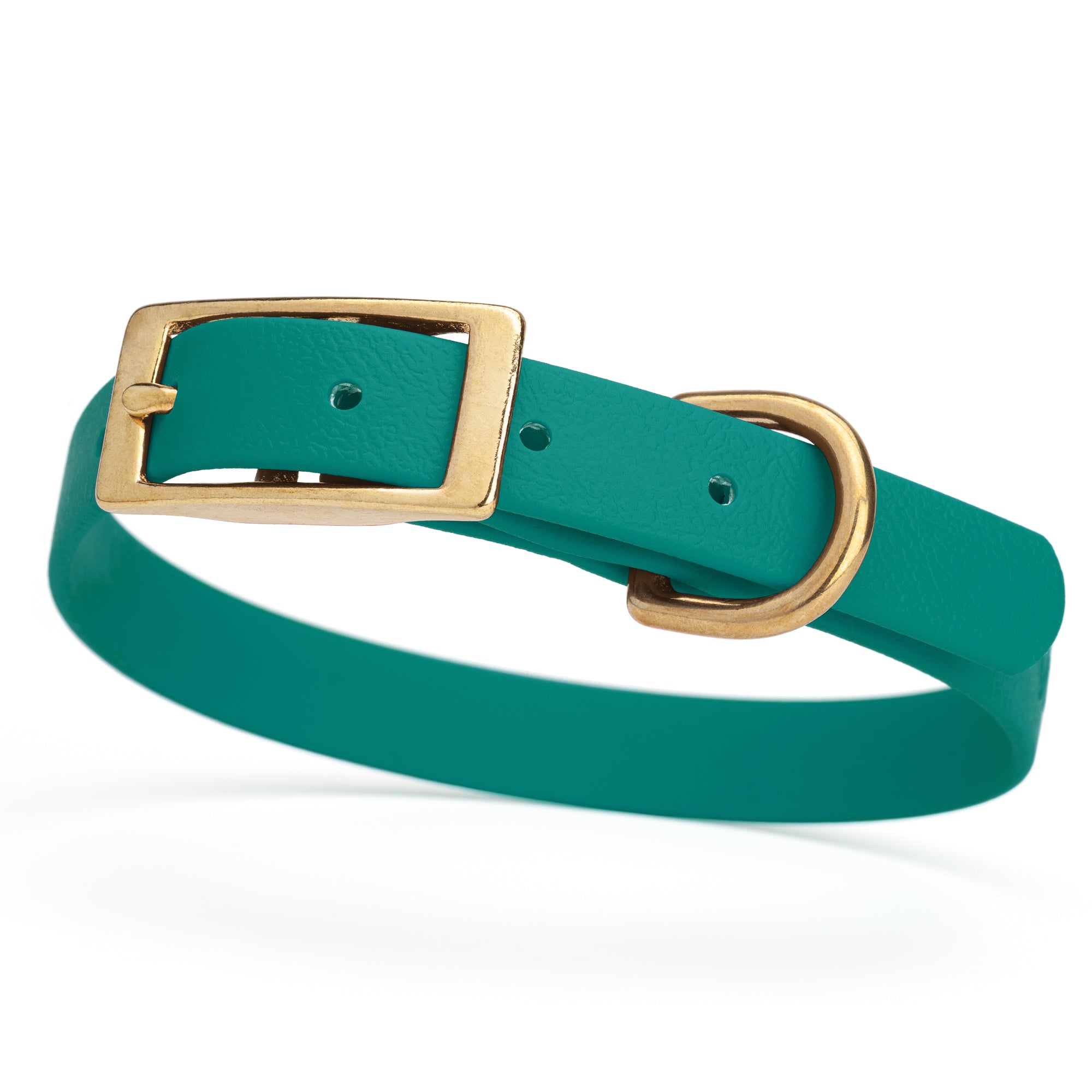 Aqua Blue collar for small dogs with brass buckle and D-ring, made from waterproof and smell proof Biothane, width 3/4 inch