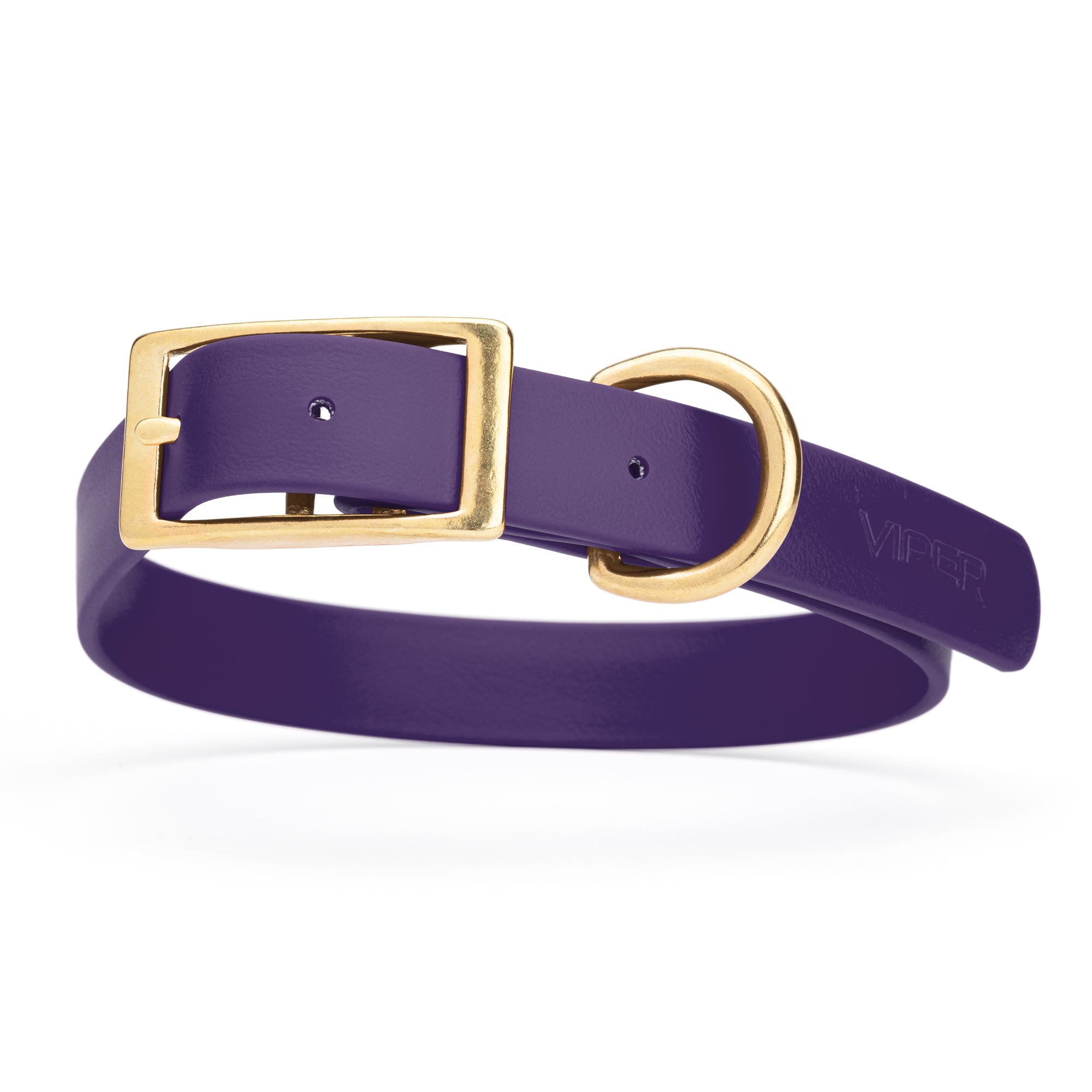 Violet Purple dog collar with brass buckle and D-ring, made from waterproof Biothane, 1-inch wide, fits medium and large dogs