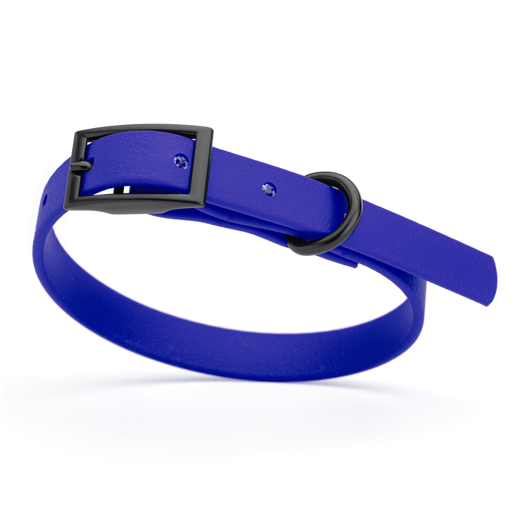 Blueberry dog collar with black buckle and D-ring, made from waterproof Biothane, x-small