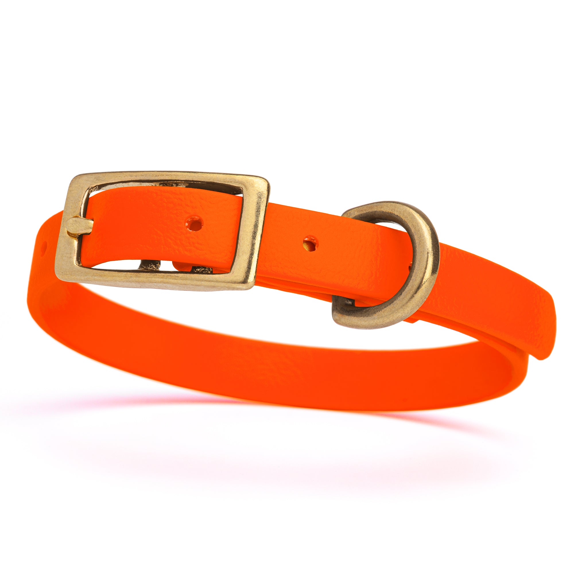 Waterproof collar for small dogs, made from Biothane with brass hardware, width 1/2 inch, Hunter Orange