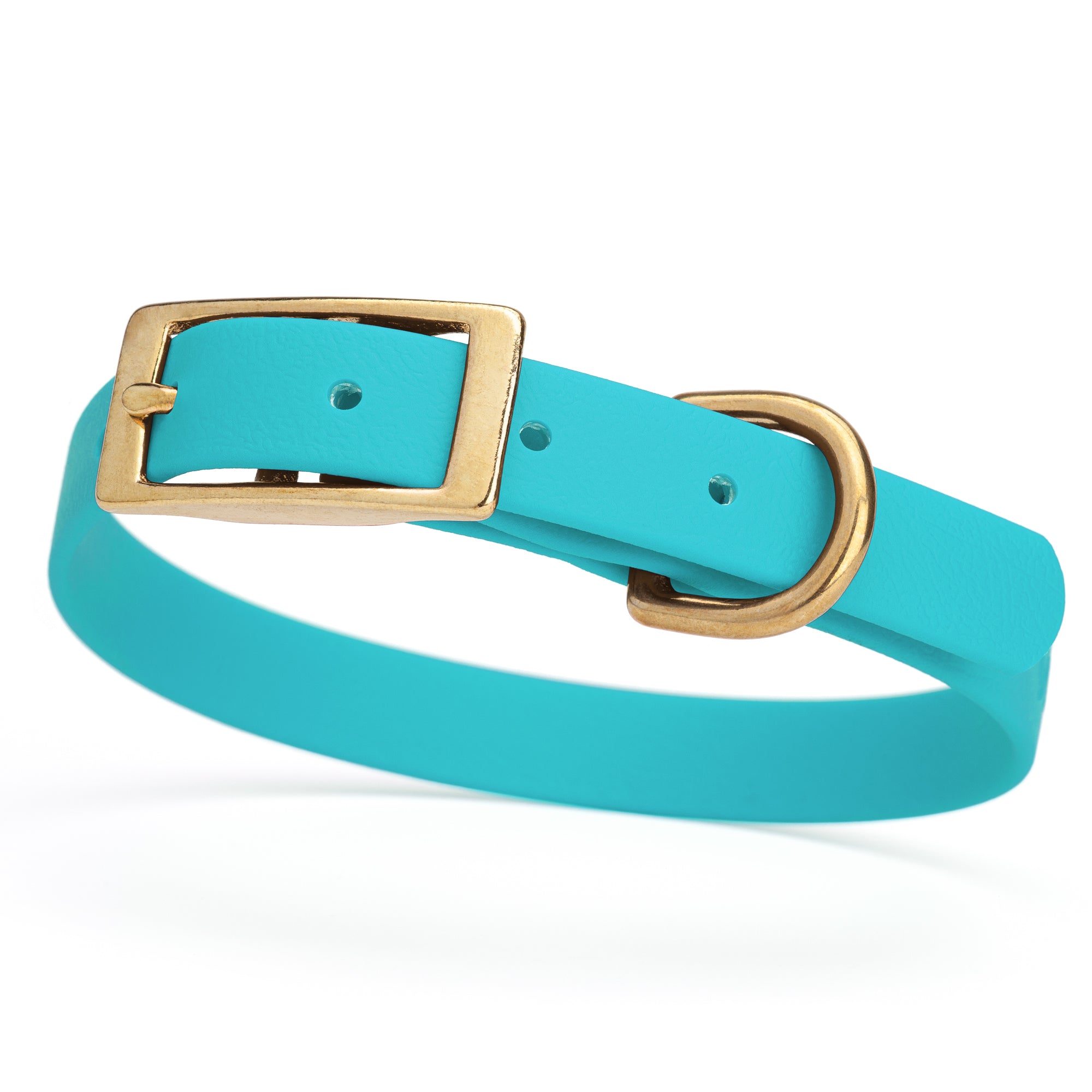 Sky Blue collar for small dogs with brass buckle and D-ring, made from waterproof and smell proof Biothane, width 3/4 inch