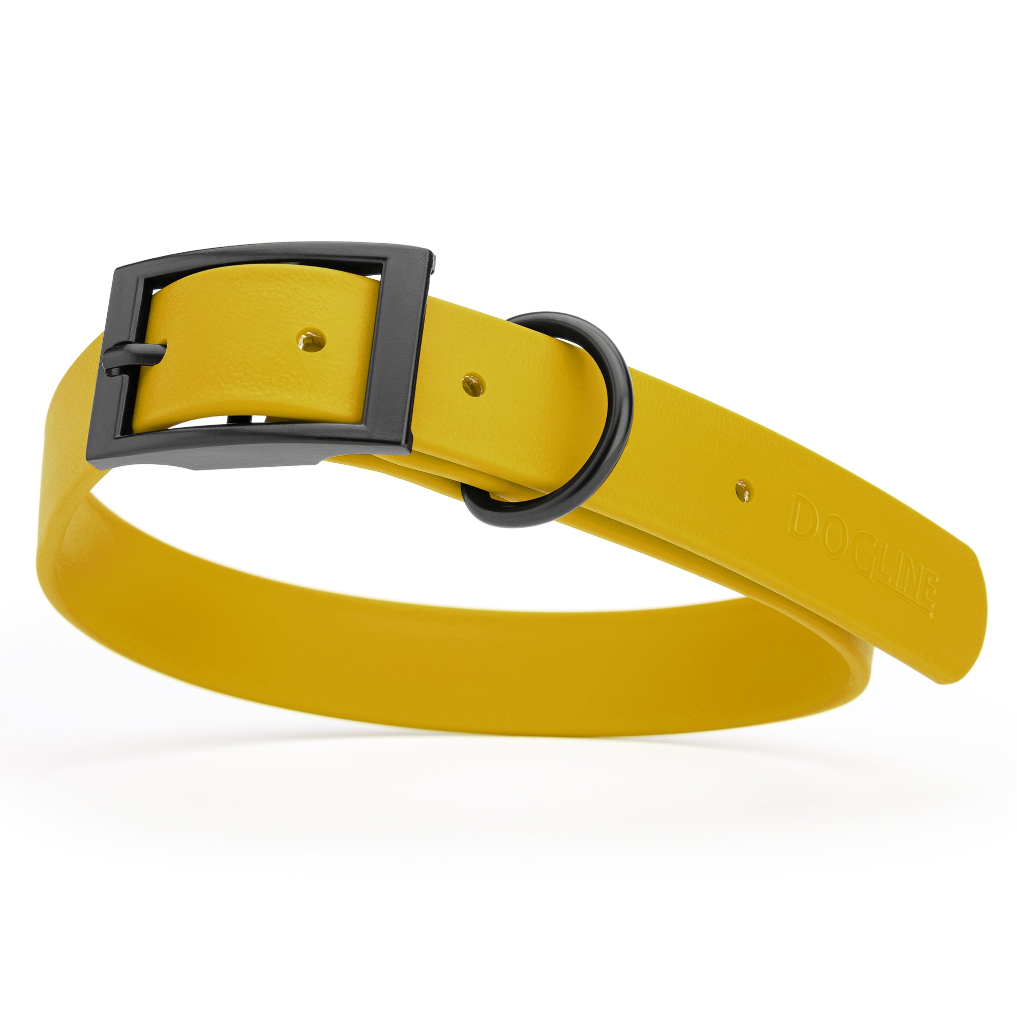 Treasure Gold Biothane dog collar with black metal buckle and D-ring, width: 1 inch, x-large