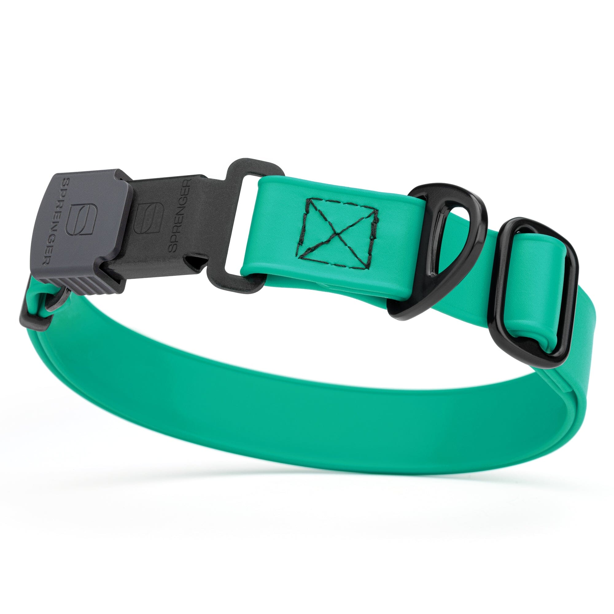 Teal Biothane dog collar with black Herm Sprenger buckle and metal D-ring, waterproof and adjustable