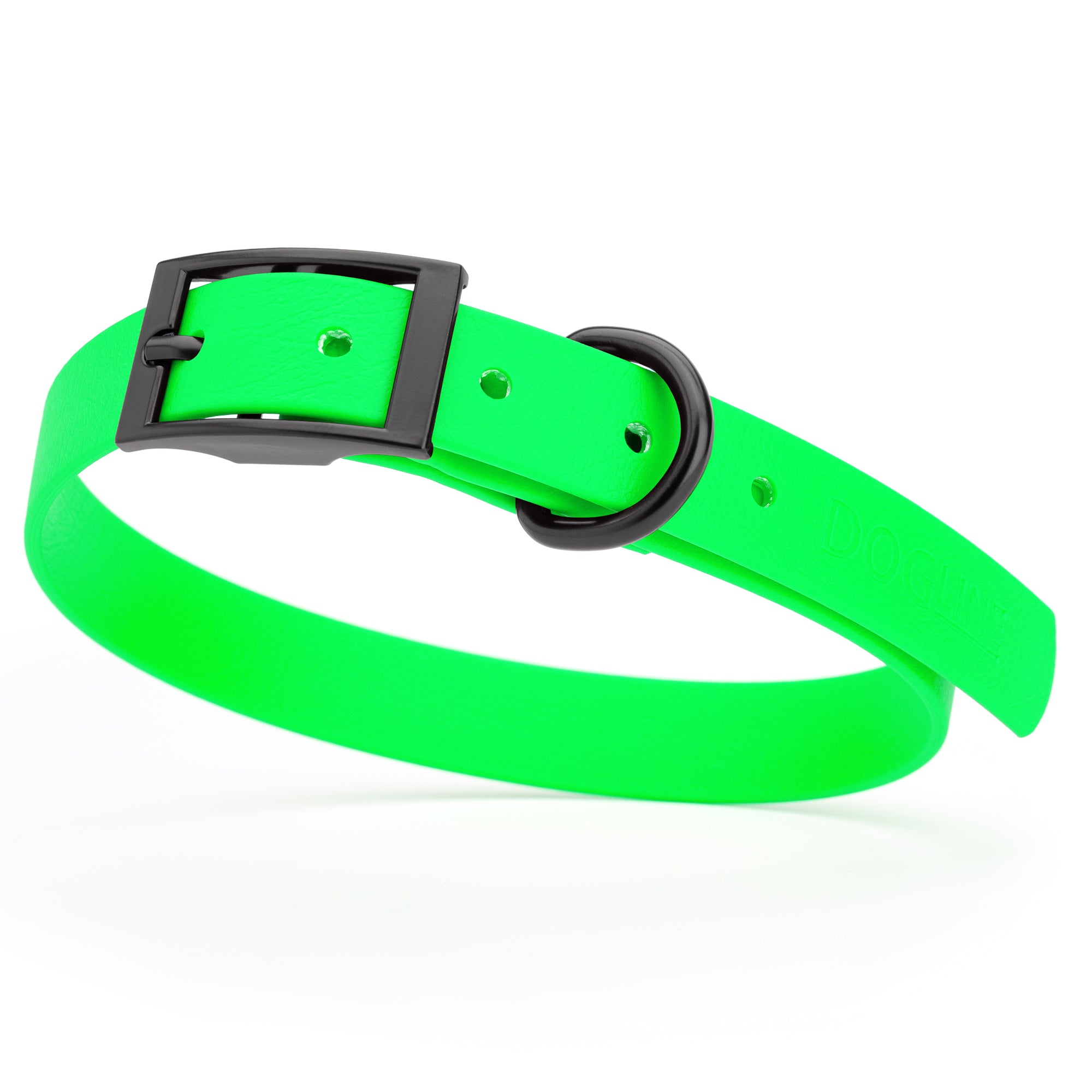 Tropical Green waterproof dog collar with black metal buckle and D-ring, made from BioThane, fits medium dogs