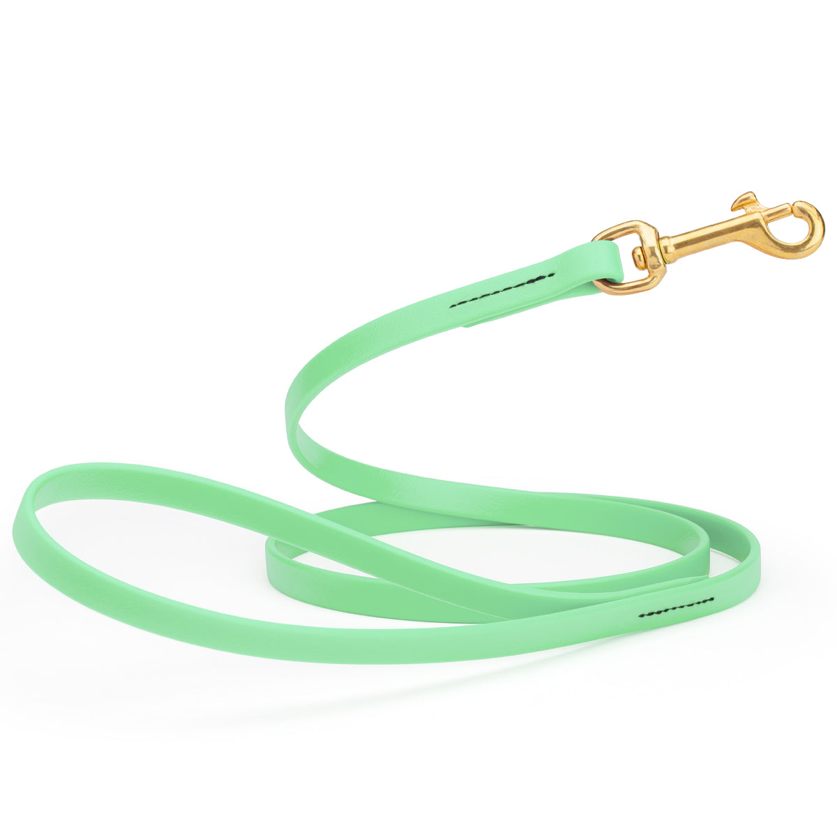 4ft dog leash made from waterproof Biothane, brass swivel clip, 1/2 inch wide, Seafoam Green