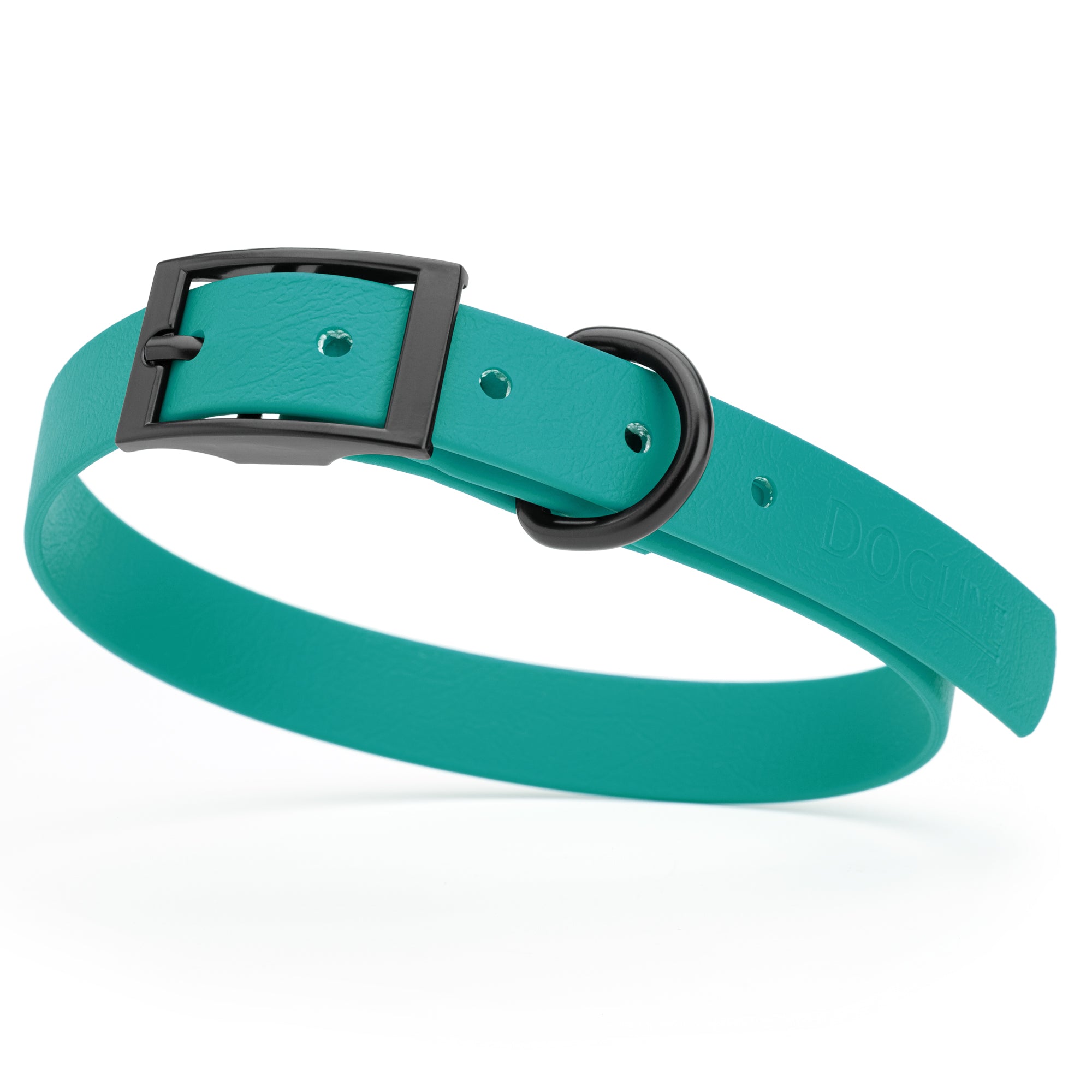 Aqua Blue waterproof dog collar with black metal buckle and D-ring, made from BioThane, fits medium dogs