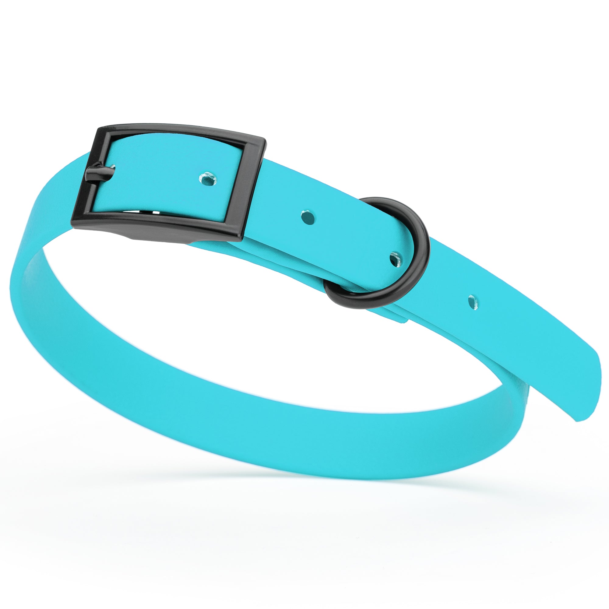 Sky Blue Biothane dog collar with black metal buckle and D-ring, width 5/8 inches, fits small dogs