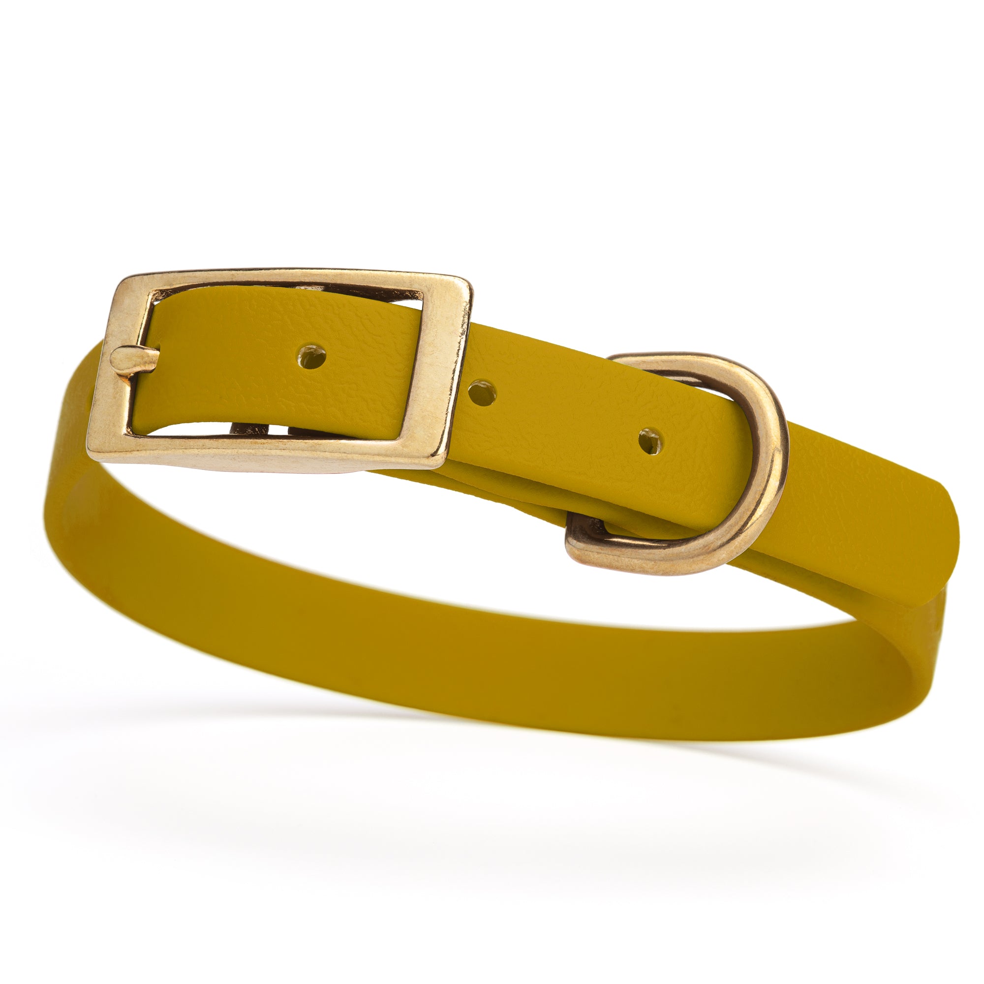 Treasure Gold collar for small dogs with brass buckle and D-ring, made from waterproof and smell proof Biothane, width 3/4 inch
