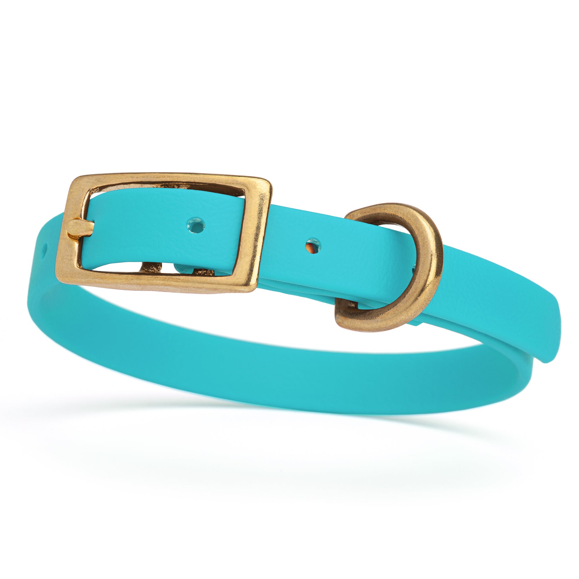 Waterproof collar for small dogs, made from Biothane with brass hardware, width 1/2 inch, Sky Blue