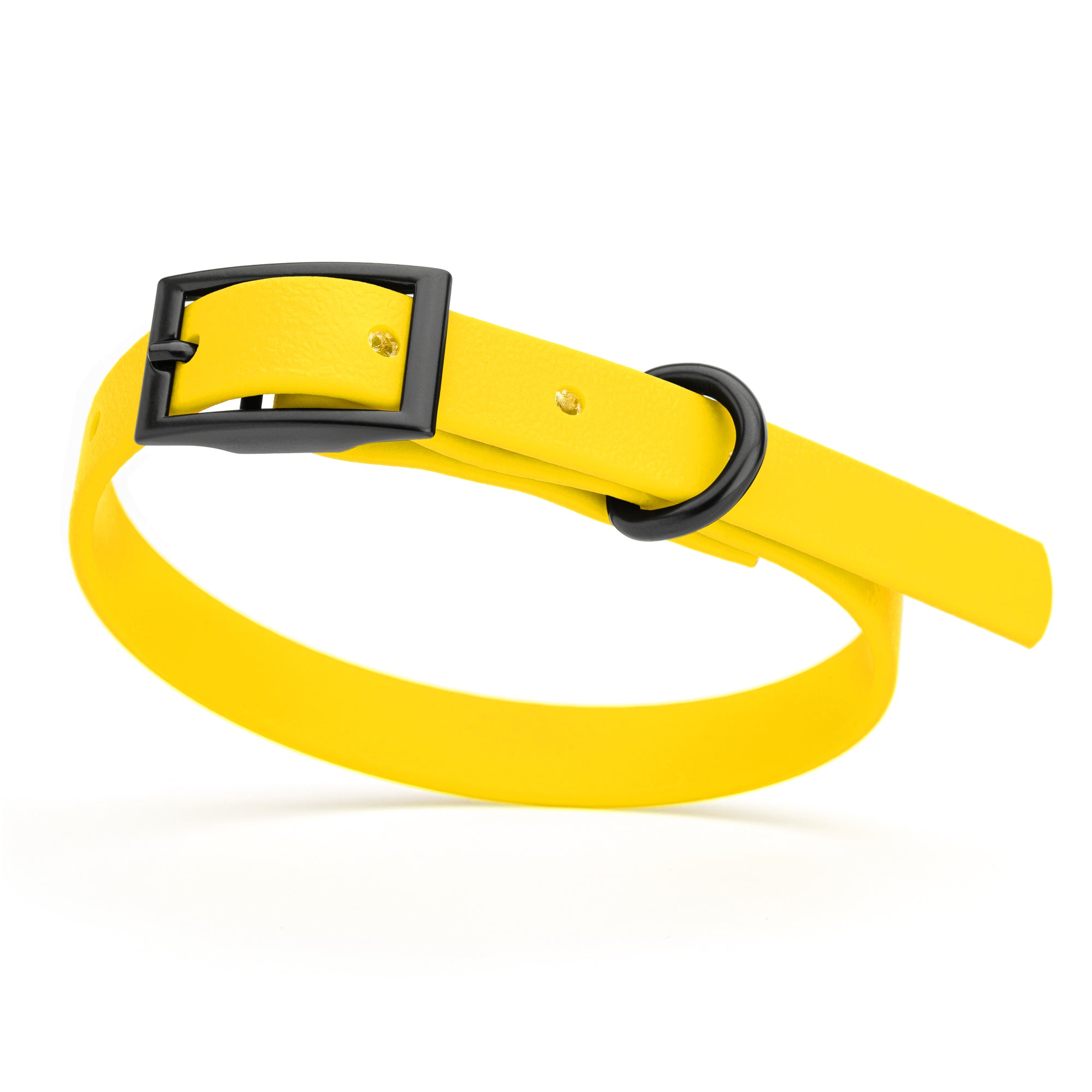 Lemon Yellow dog collar with black buckle and D-ring, made from waterproof Biothane, x-small