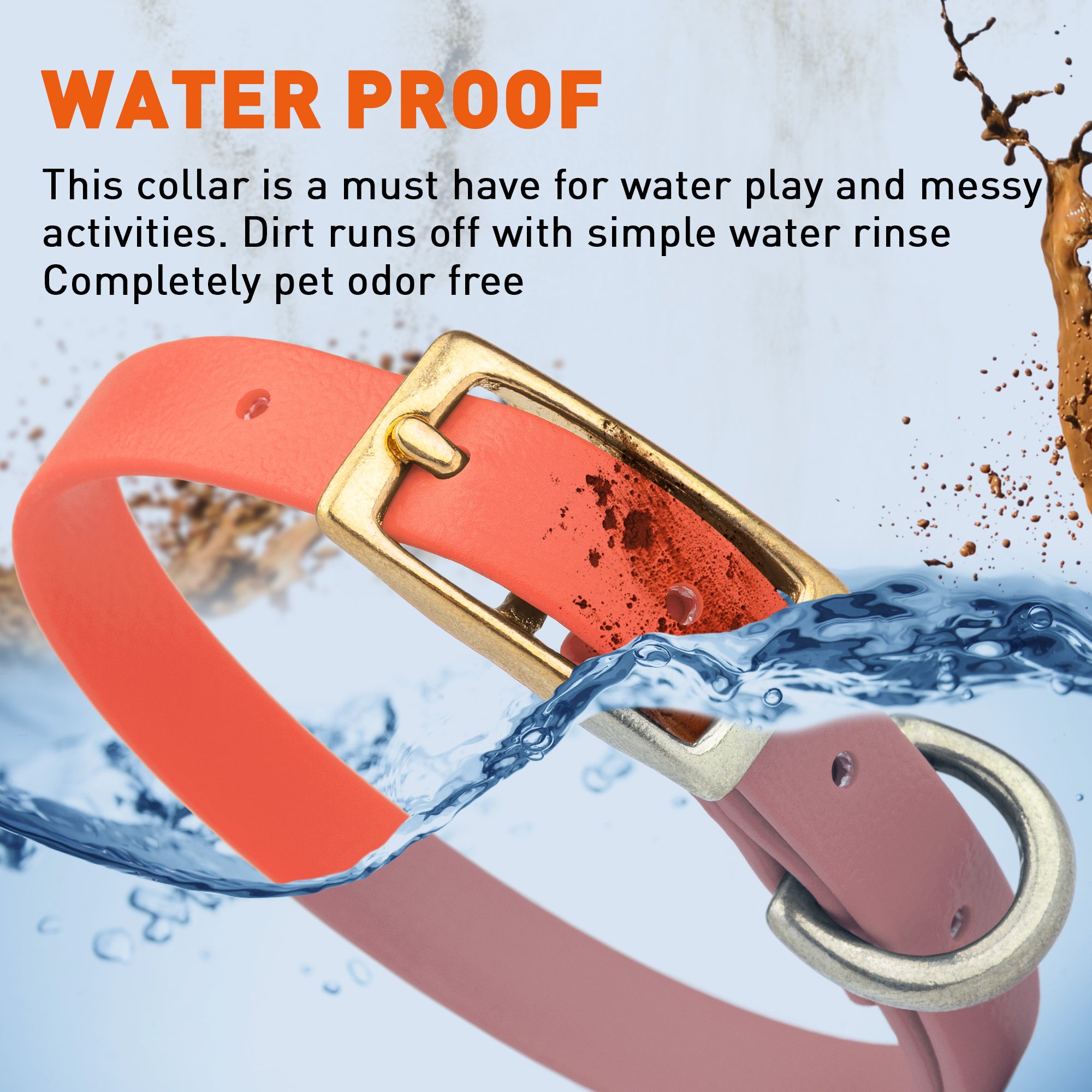 Viper Biothane Waterproof Dog Collar - Brass Hardware - Size XS (9 to 12 inches)