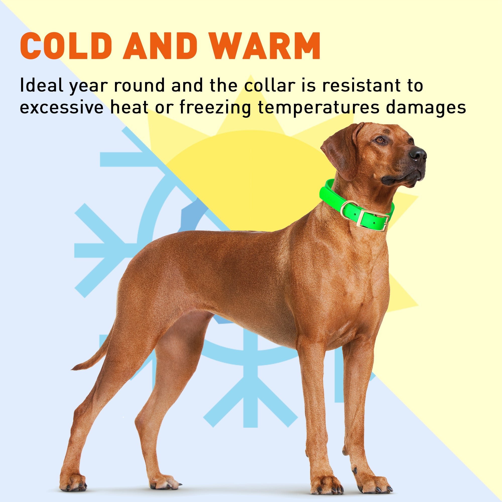 Viper Biothane Waterproof Dog Collar - Brass Hardware - Size L (18 to 22 inches)