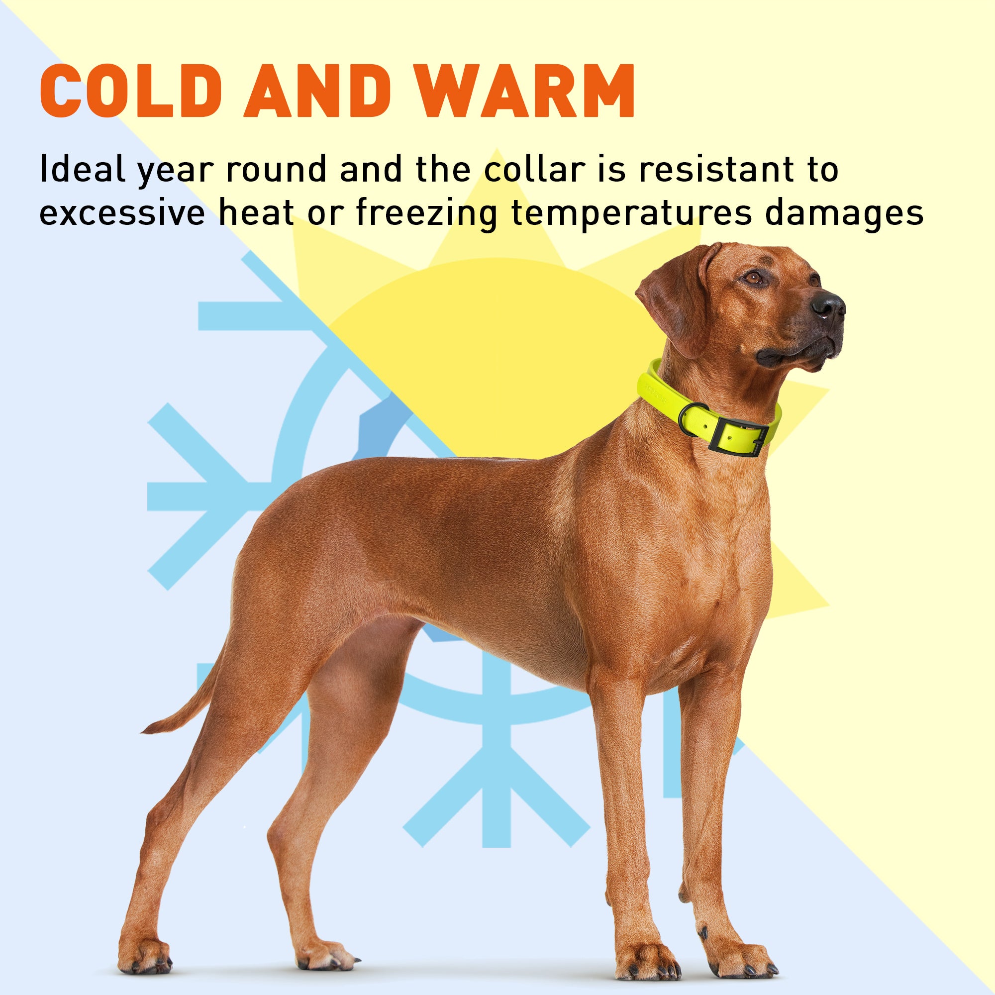 Dogline Biothane Waterproof Dog Collar with Black Hardware - Size XL (22 to 25 inches)
