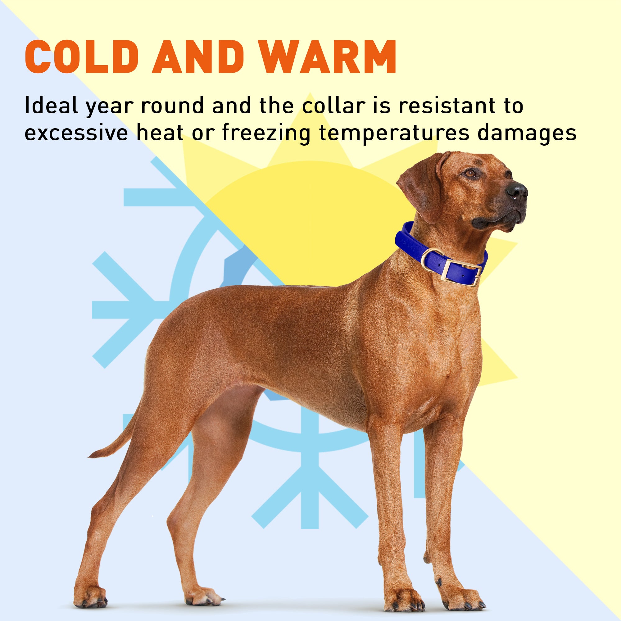 Viper Biothane Waterproof Dog Collar - Brass Hardware - Size XL (22 to 25 inches)