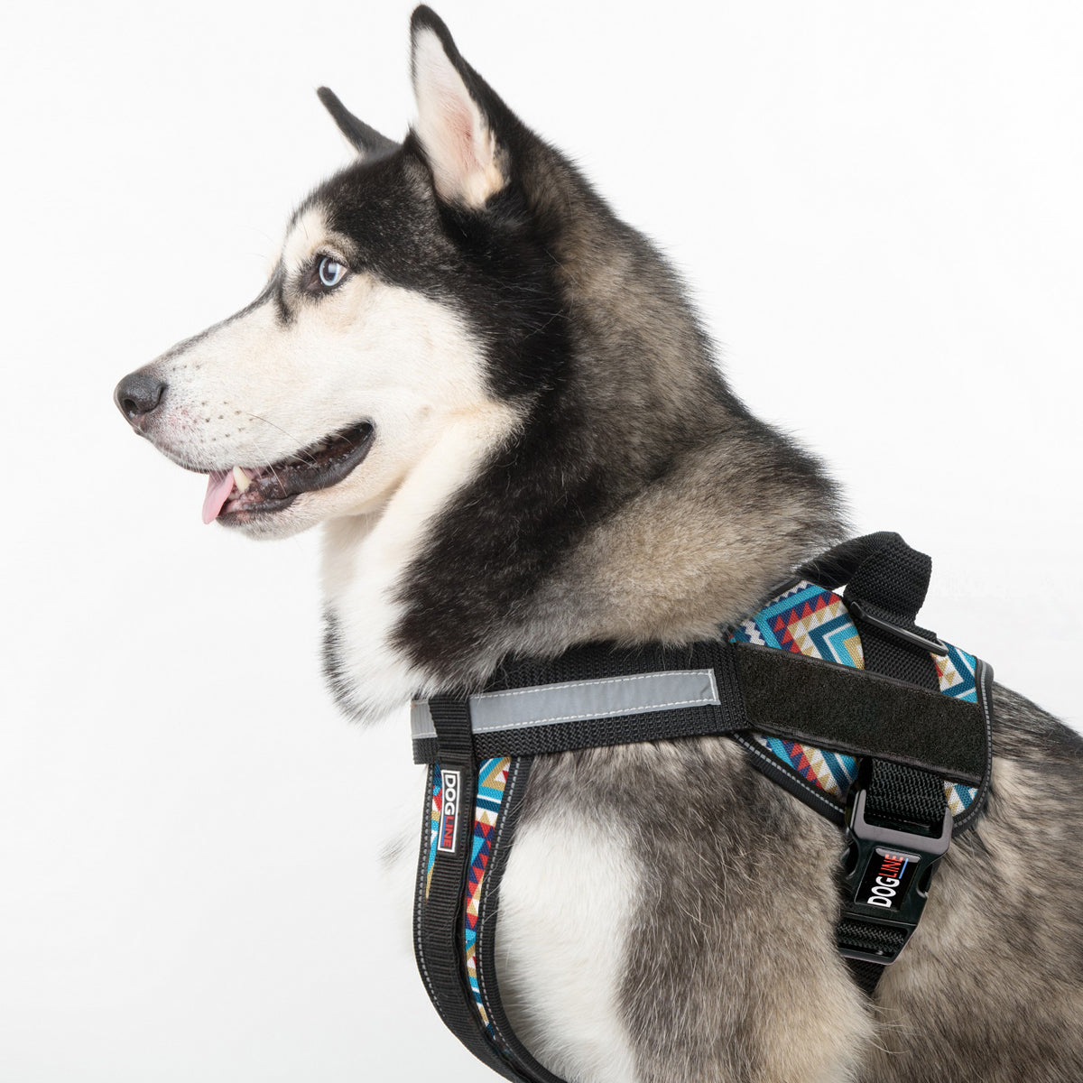 Dogline Unimax Multi-Purpose Dog Harness