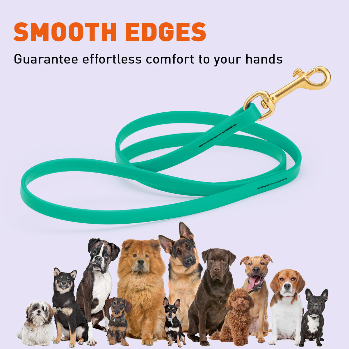 Biothane Working Dog Lead 4ft