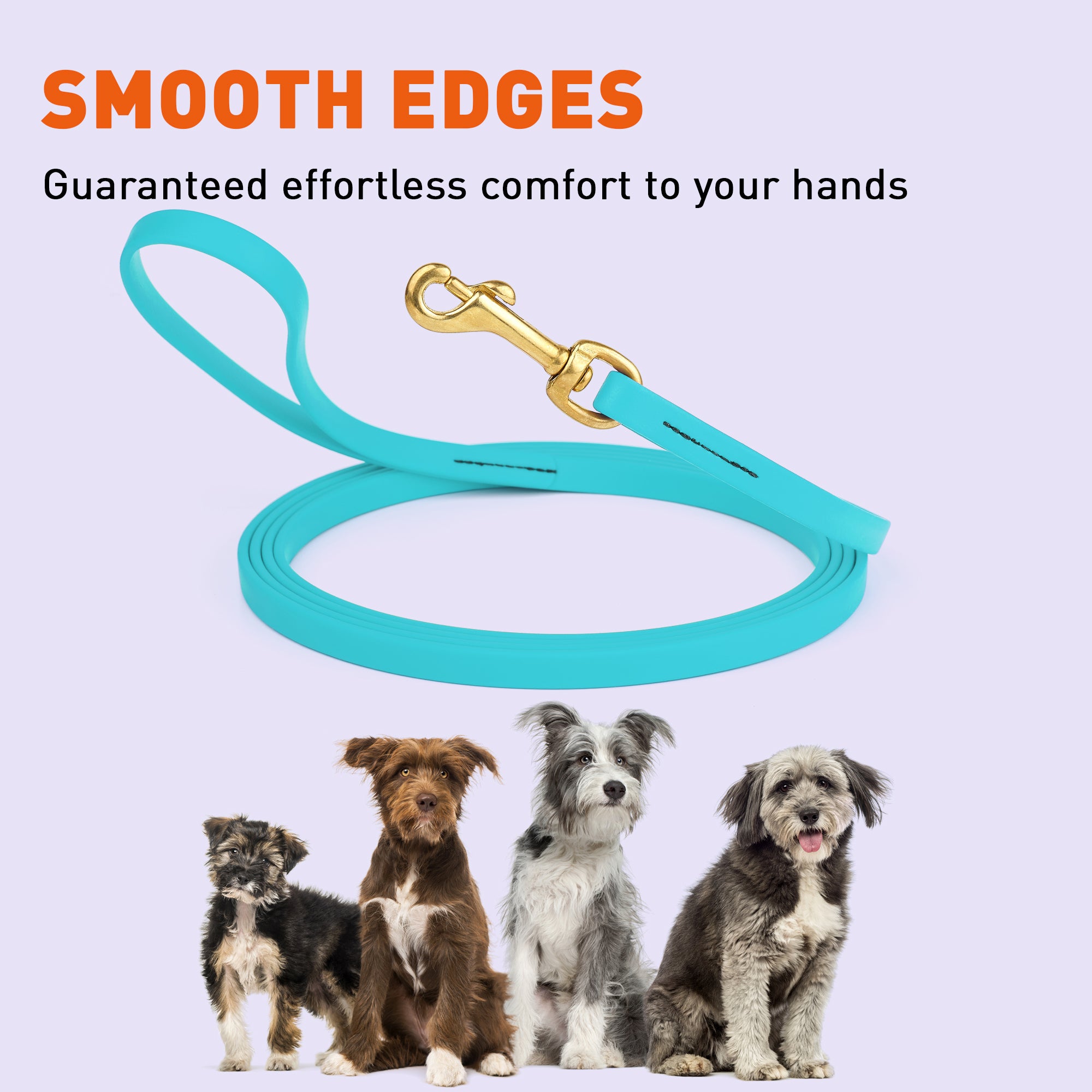 Biothane Working Dog Lead 10ft - Long Line Collection