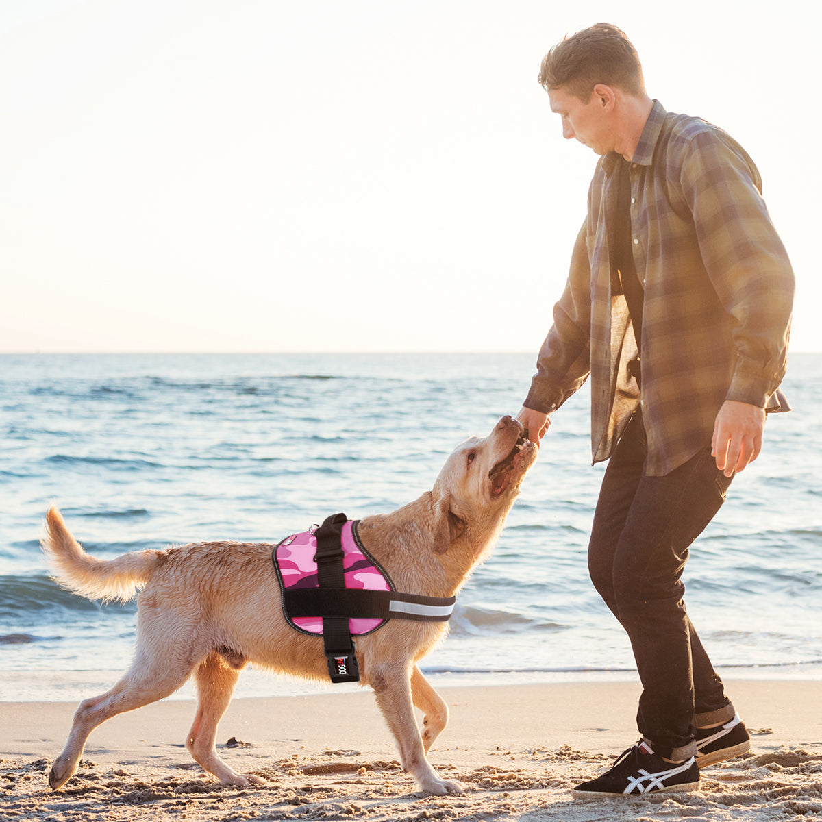 Dogline Unimax Multi-Purpose Dog Harness